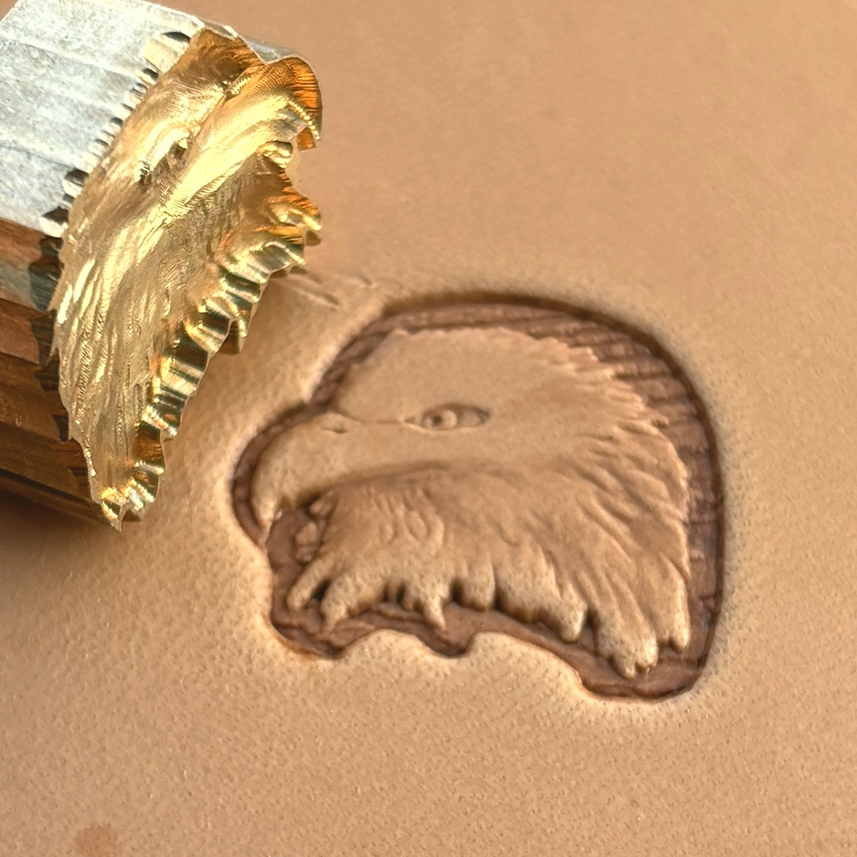 Bold Head Eagle leather stamp LT206 — brass stamping tool with imprint on natural veg-tan leather