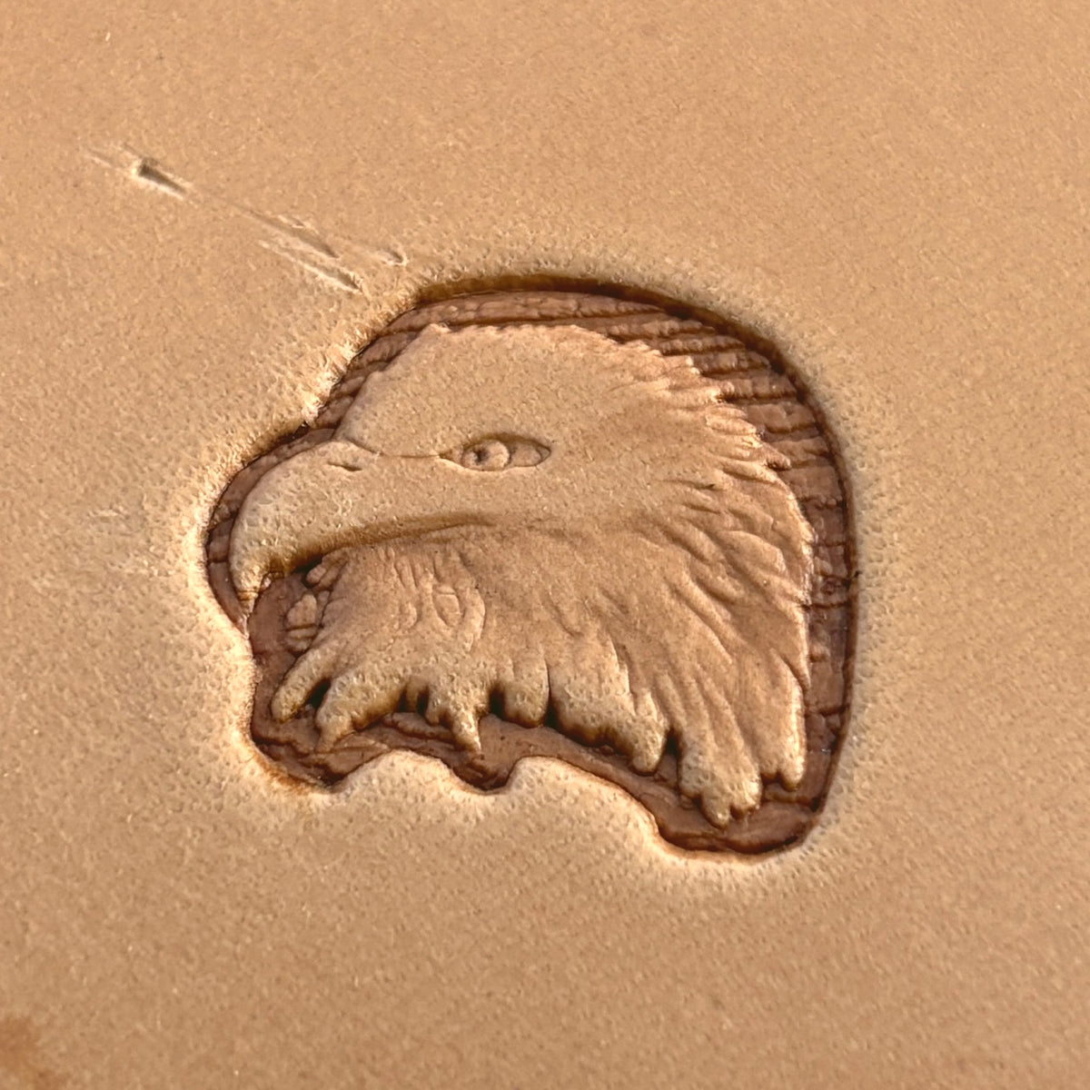 Bold Head Eagle leather stamp LT206 — single impression on veg-tan leather
