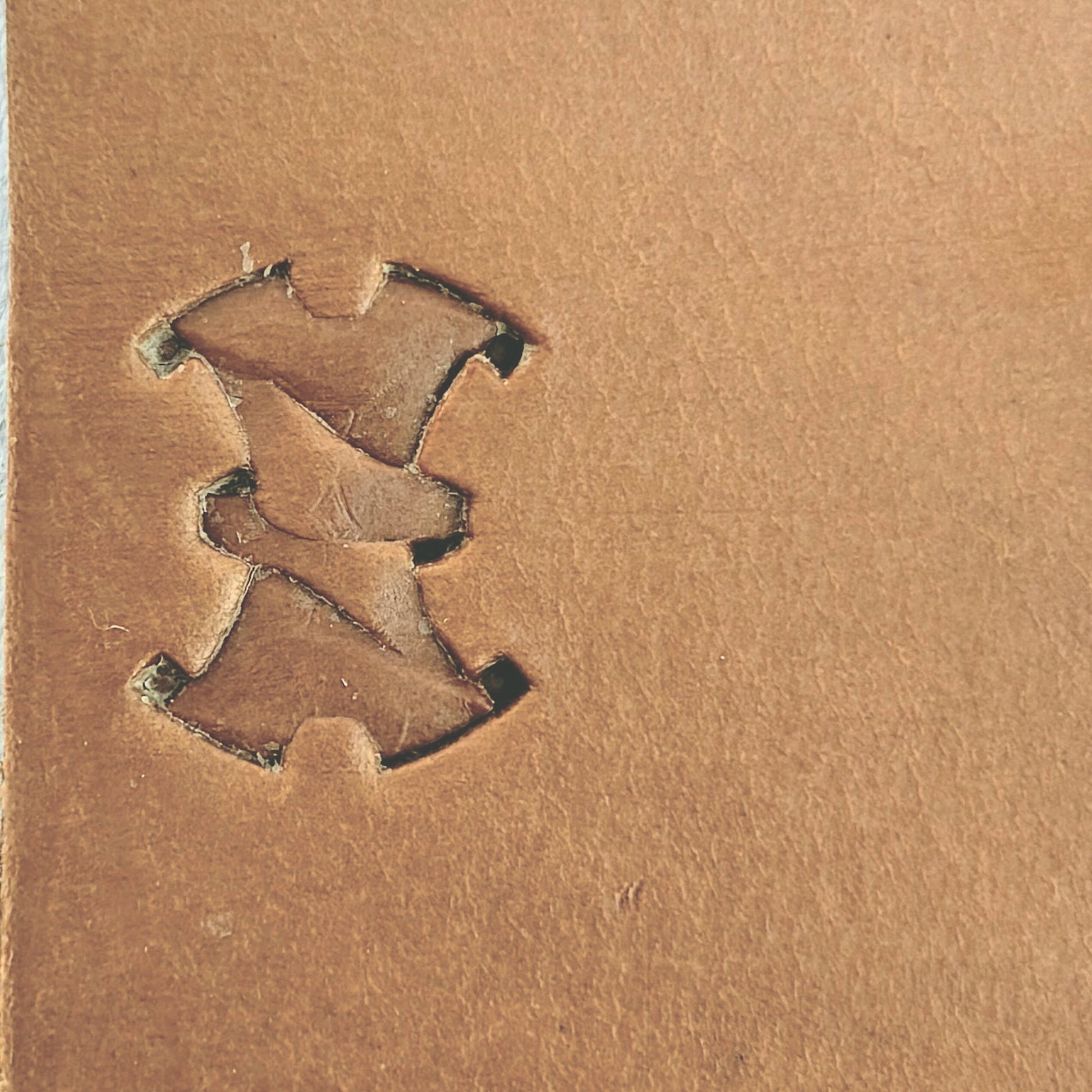 Interlocking Shapes Geometric leather stamp LT240 — single impression on veg-tan leather