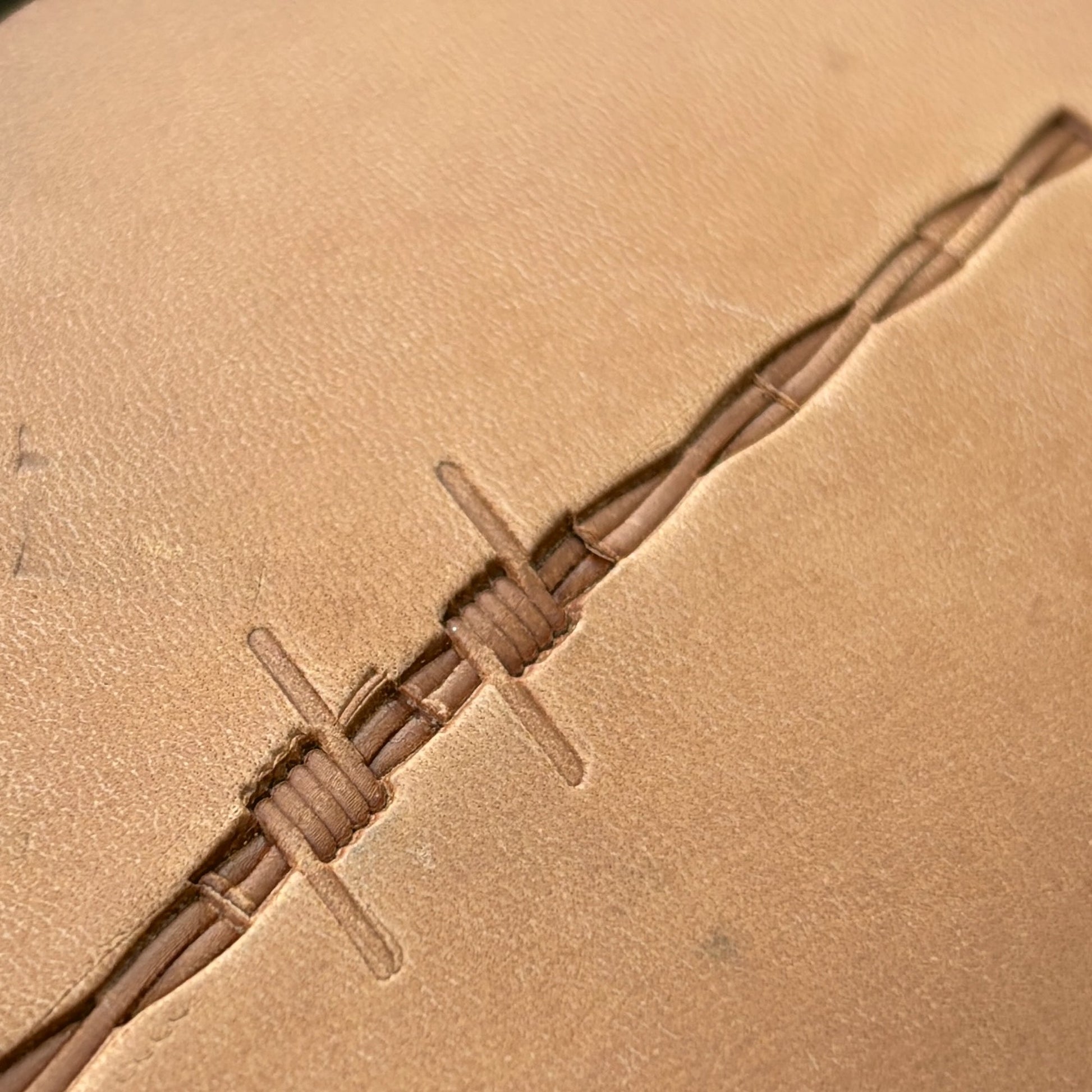 Barbed Wire leather stamp LT247 — pattern imprint on veg-tan leather