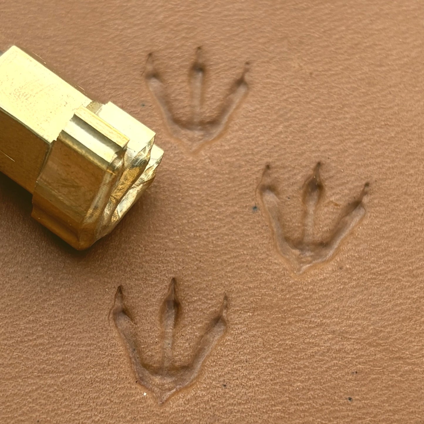 Dinosaur Track Footprint leather stamp LT250 — brass stamping tool with imprint on natural veg-tan leather
