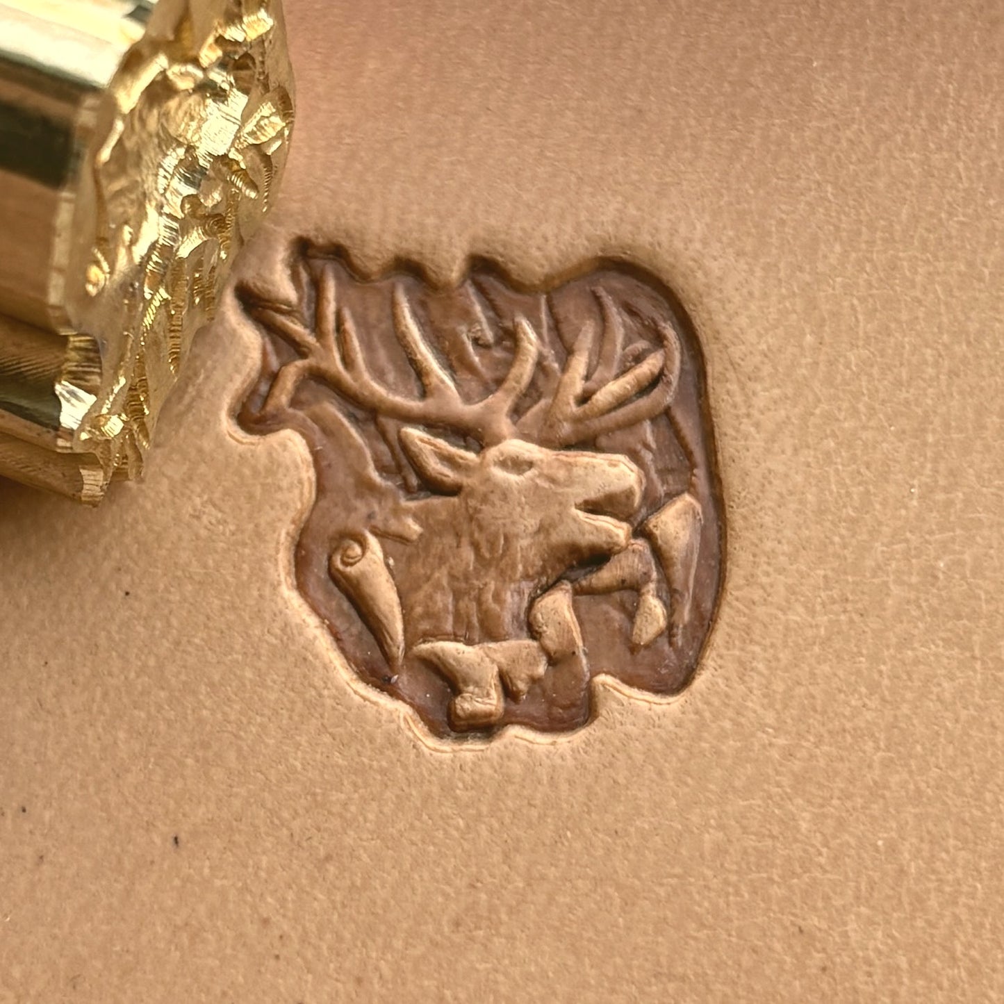Deer leather stamp LT255 — brass stamping tool with imprint on natural veg-tan leather