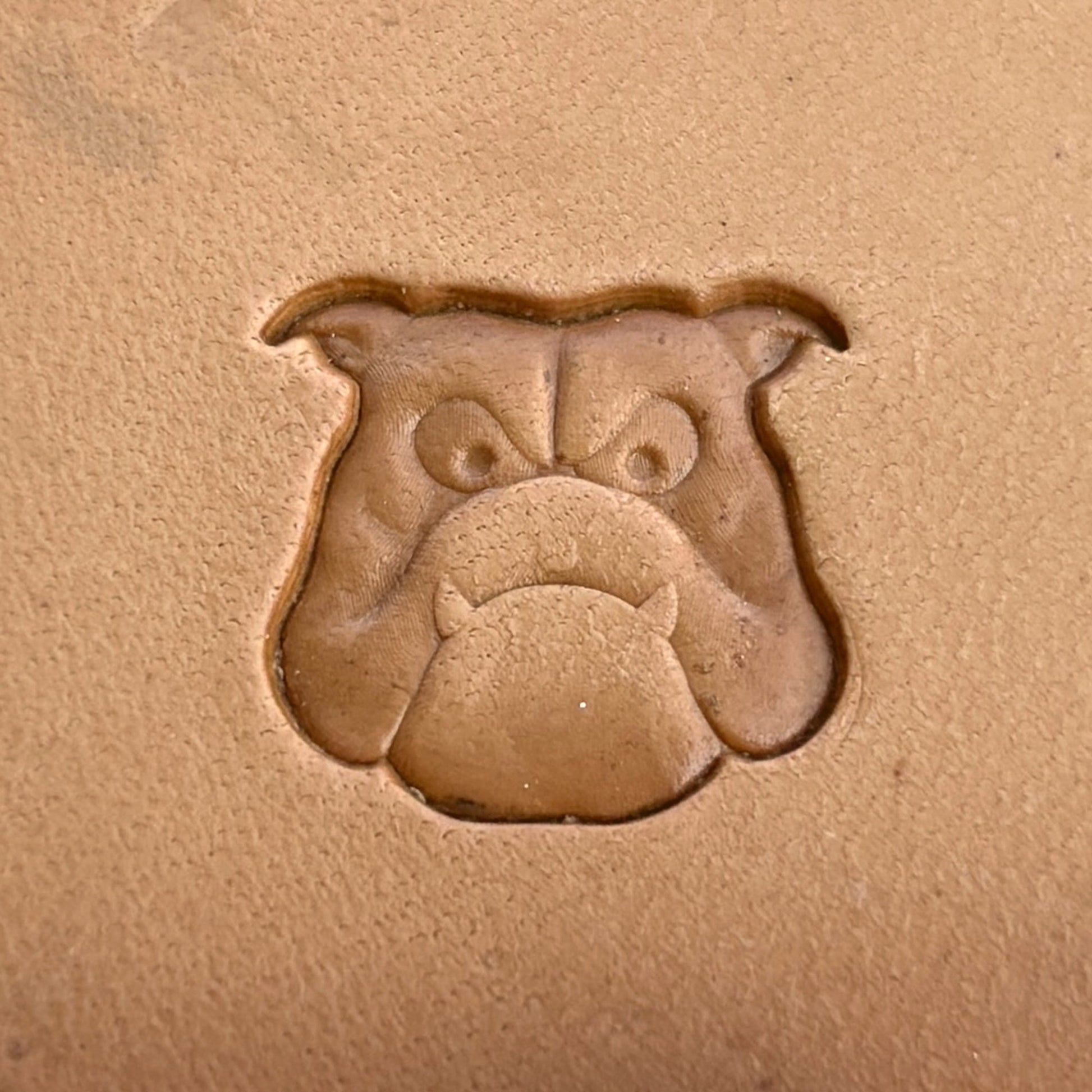 Dog leather stamp LT257 — single impression on veg-tan leather