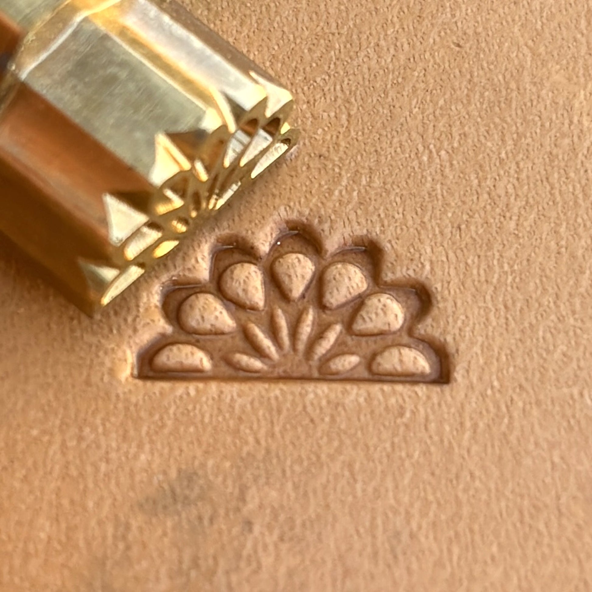 Peacock leather stamp LT264 — brass stamping tool with imprint on natural veg-tan leather
