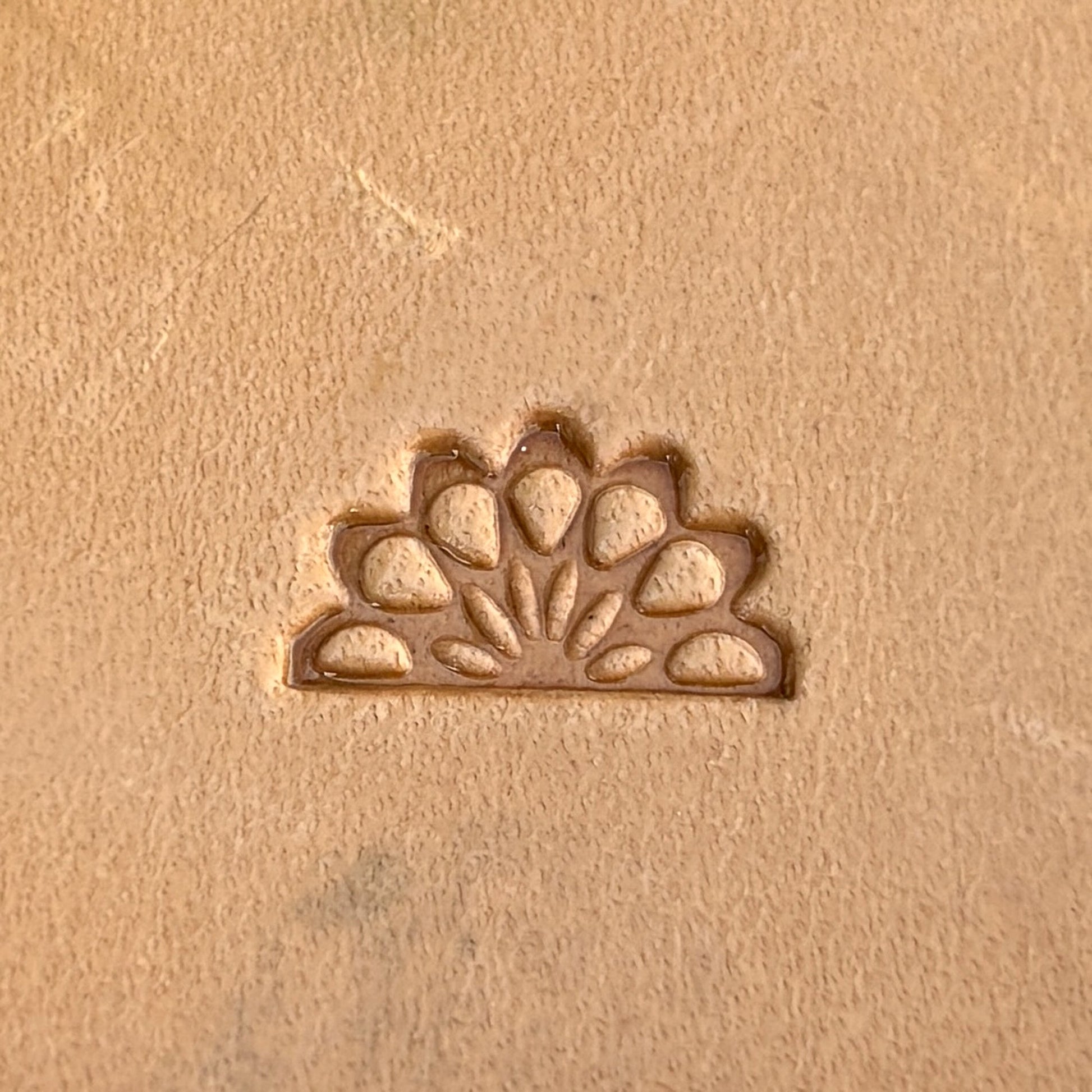Peacock leather stamp LT264 — single impression on veg-tan leather