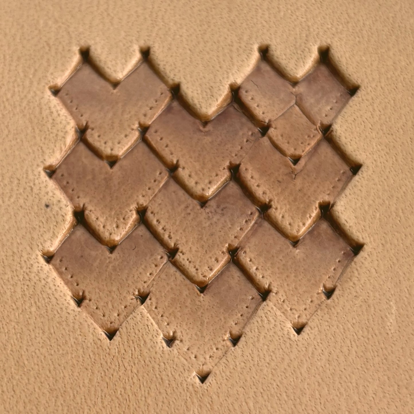Scales leather stamp LT267 — brass stamping tool with imprint on natural veg-tan leather