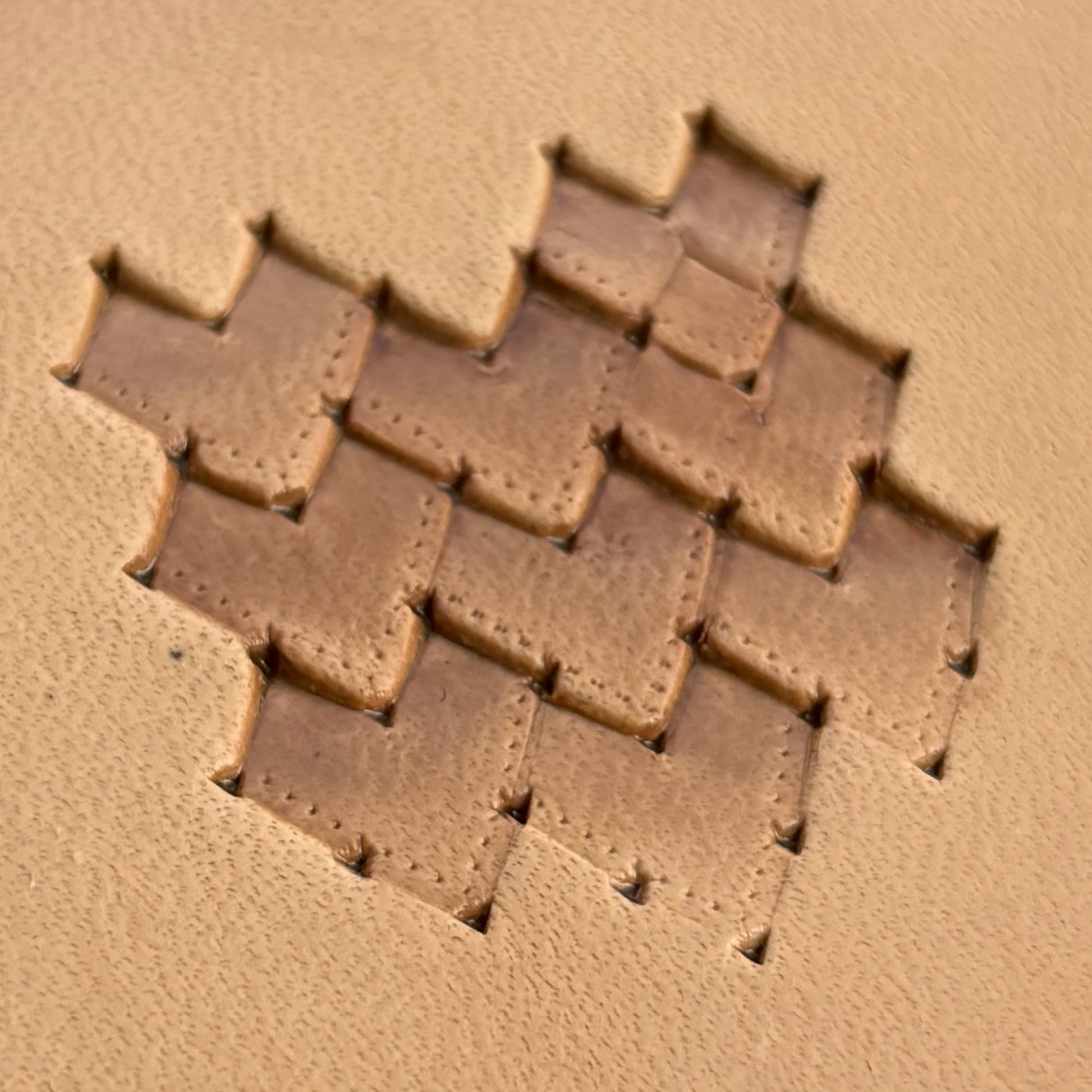 Scales leather stamp LT267 — pattern imprint on veg-tan leather