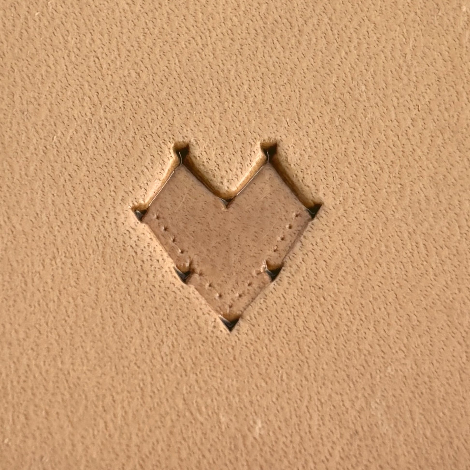 Scales leather stamp LT267 — single impression on veg-tan leather