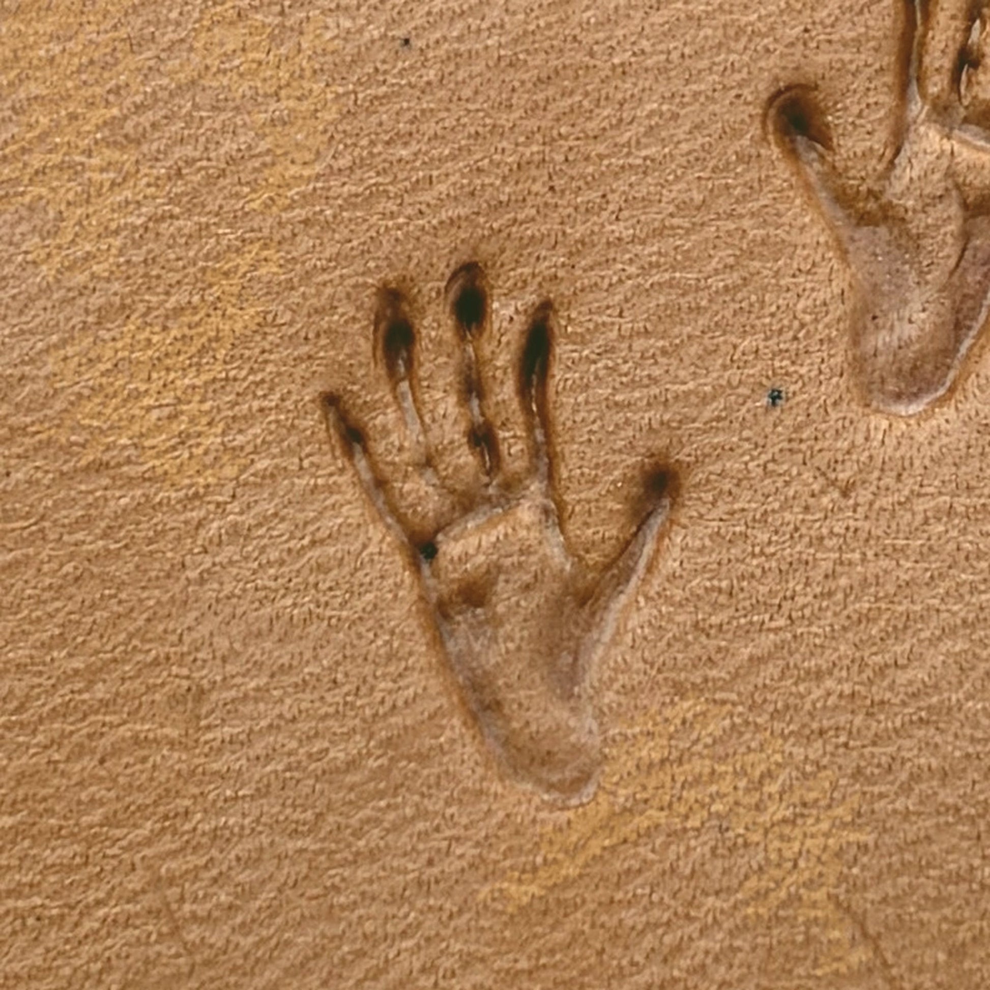 Monkey Tracks Footprint leather stamp LT275 — pattern imprint on veg-tan leather