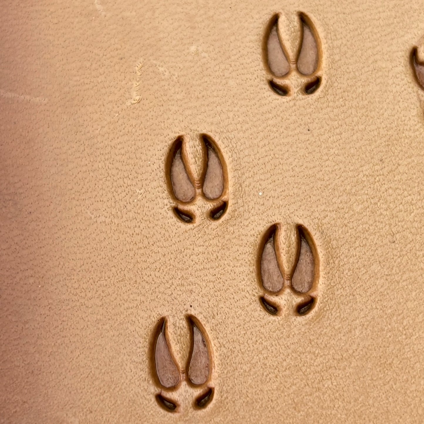 Hoof Tracks Footprint leather stamp LT276 — pattern imprint on veg-tan leather