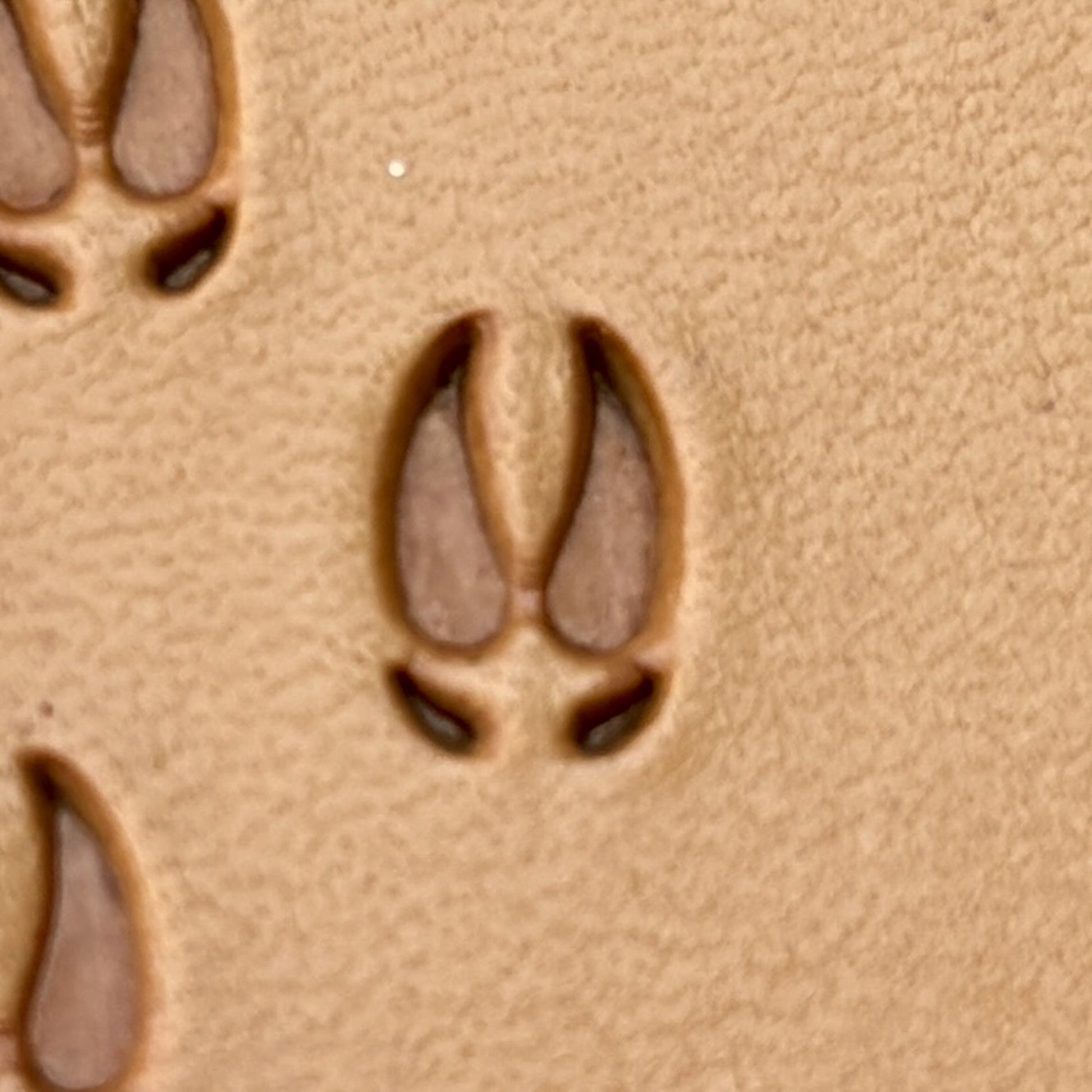 Hoof Tracks Footprint leather stamp LT276 — single impression on veg-tan leather