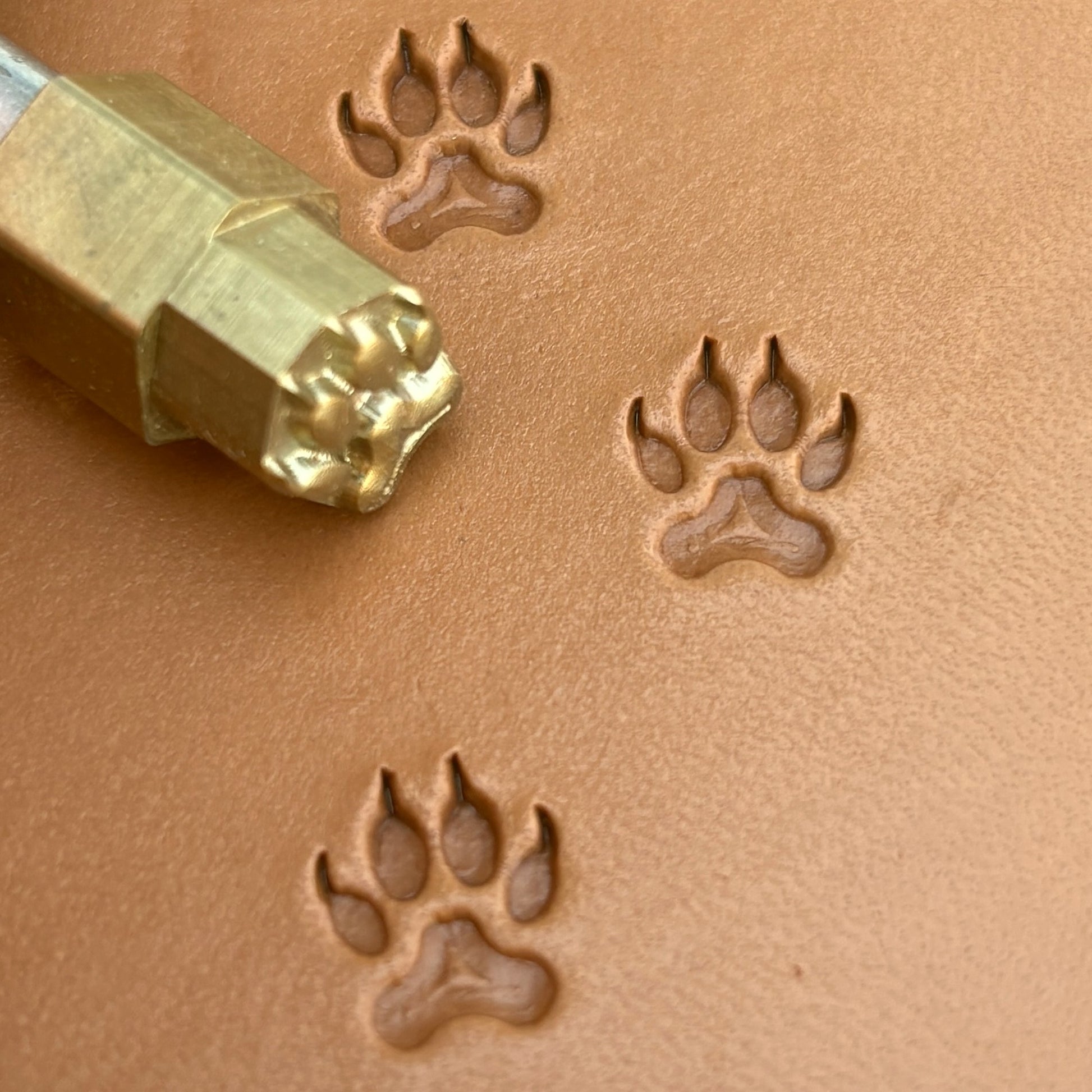 Wild Track Paw leather stamp LT277 — brass stamping tool with imprint on natural veg-tan leather