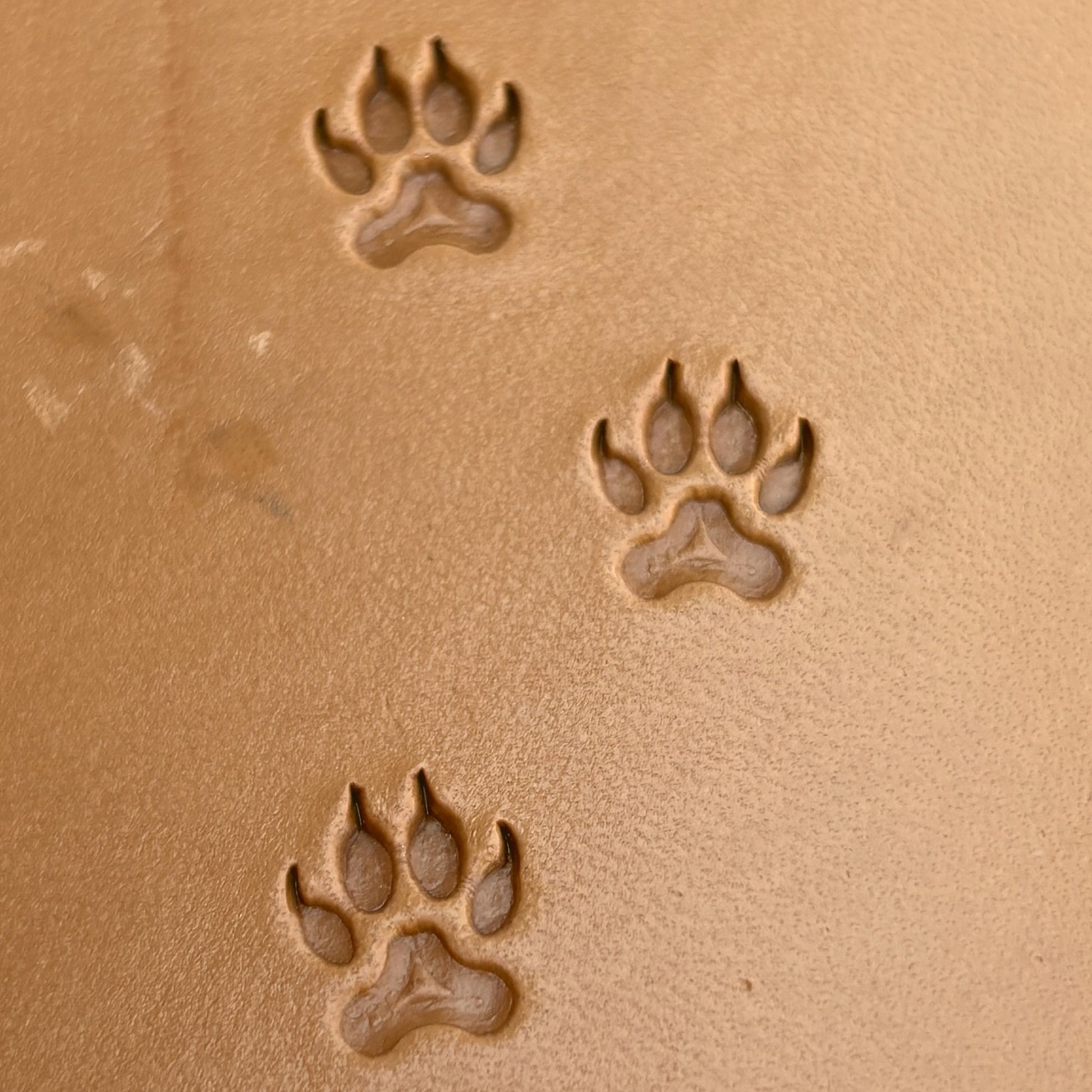 Wild Track Paw leather stamp LT277 — pattern imprint on veg-tan leather