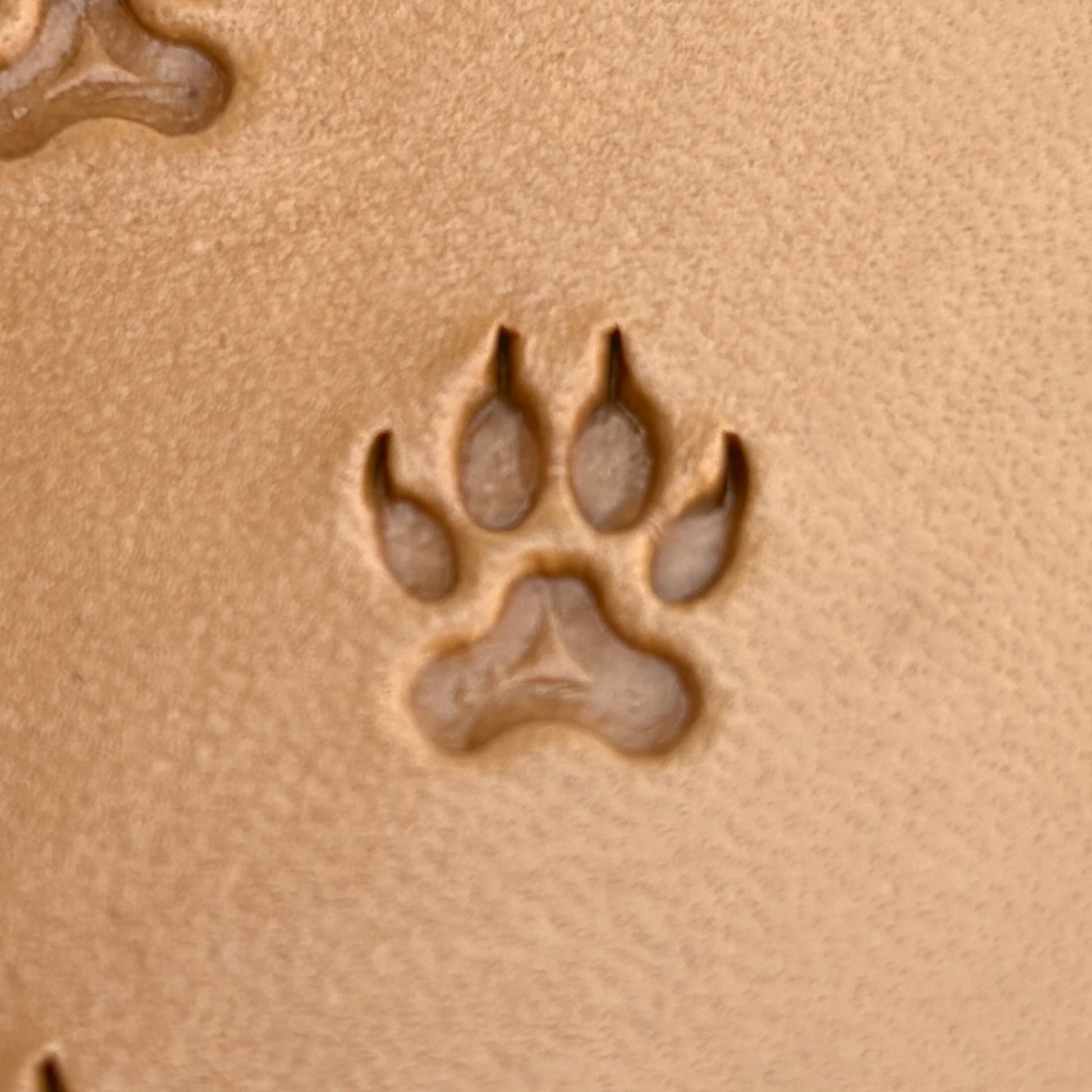 Wild Track Paw leather stamp LT277 — single impression on veg-tan leather