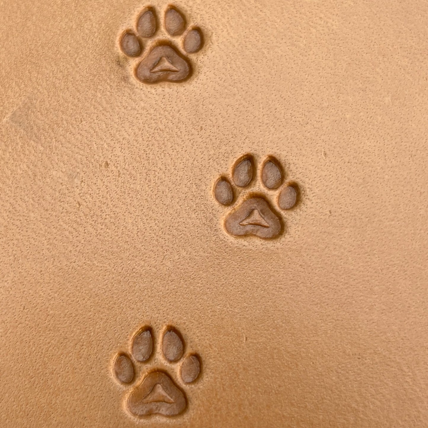 Paw Cat leather stamp LT278 — pattern imprint on veg-tan leather