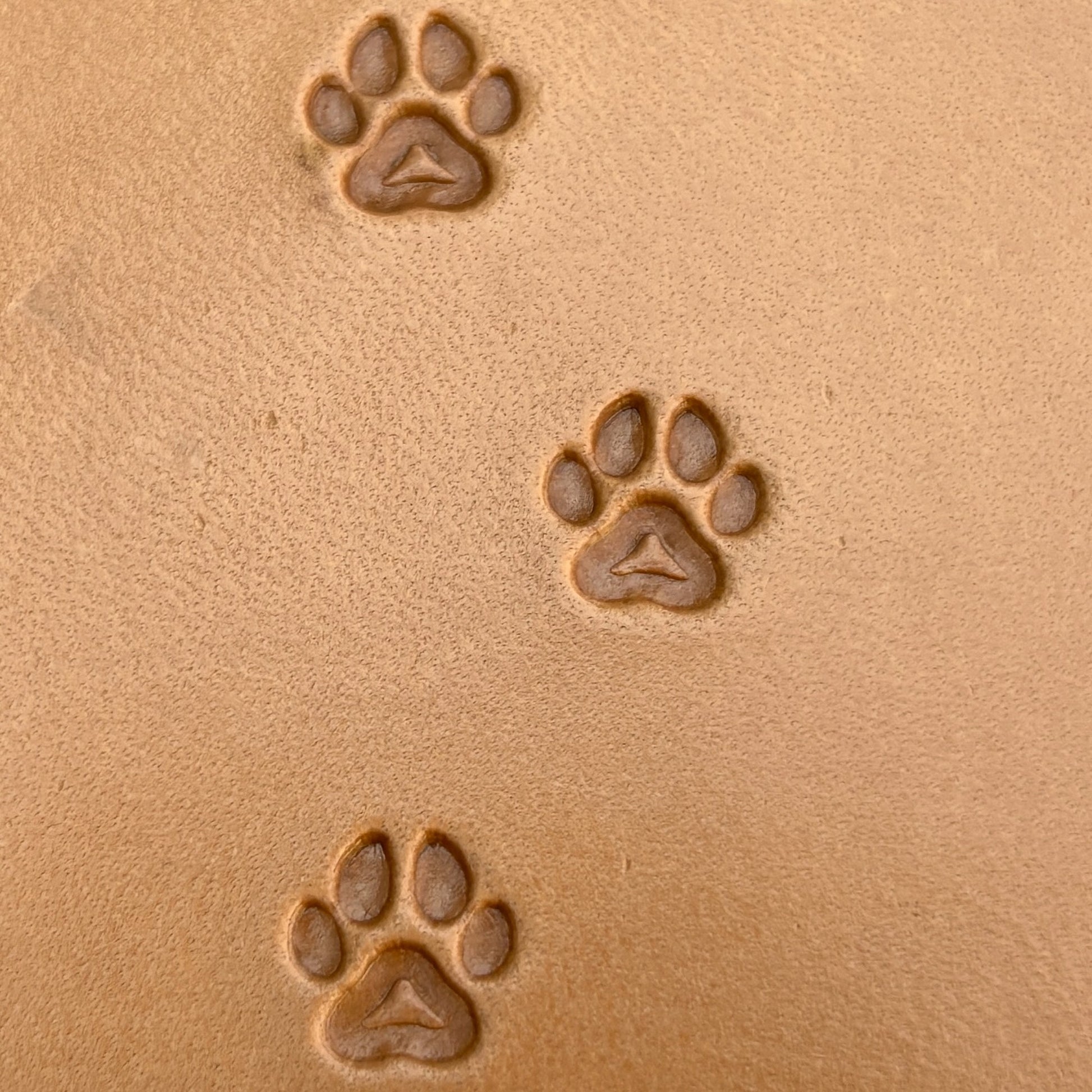 Paw Cat leather stamp LT278 — pattern imprint on veg-tan leather