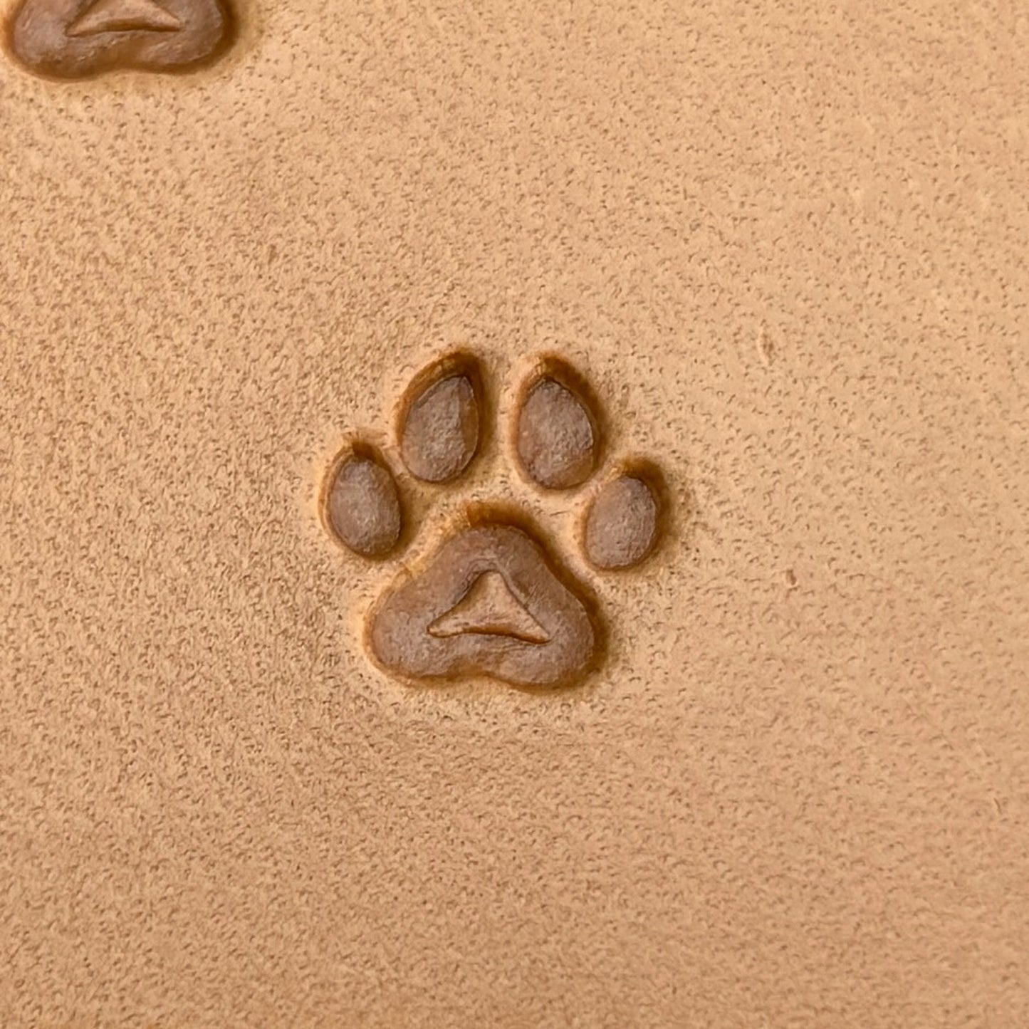 Paw Cat leather stamp LT278 — single impression on veg-tan leather