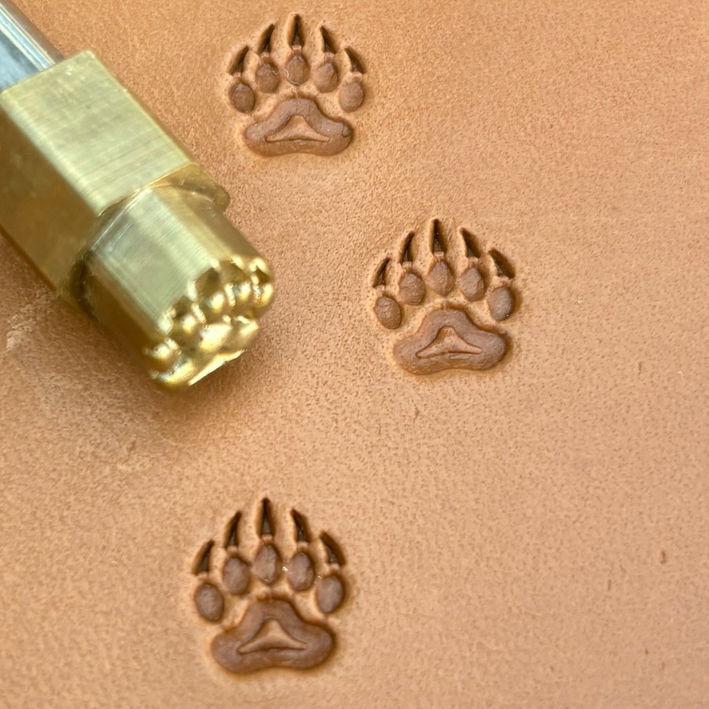 Track Paw Bear leather stamp LT279 — brass stamping tool with imprint on natural veg-tan leather