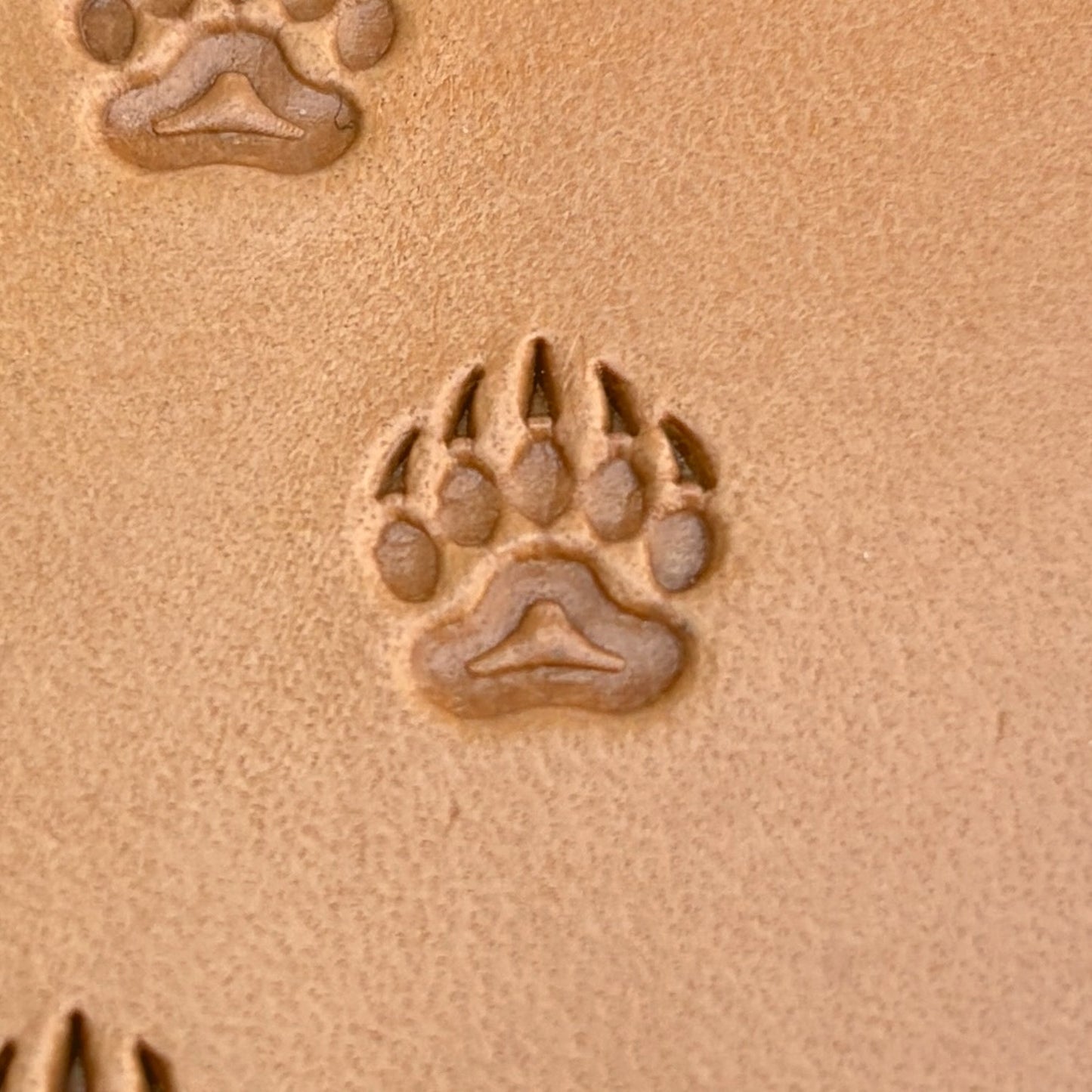 Track Paw Bear leather stamp LT279 — single impression on veg-tan leather