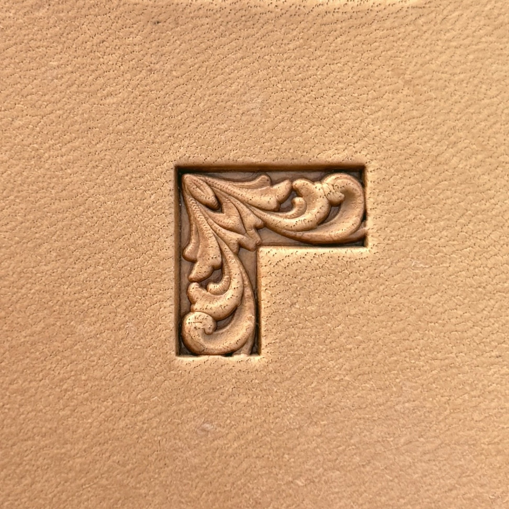 Ornamental leather stamp LT288 — pattern imprint on veg-tan leather