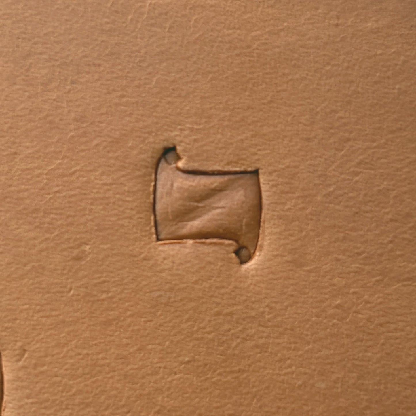 Pinwheel Geometric leather stamp LT289 — single impression on veg-tan leather
