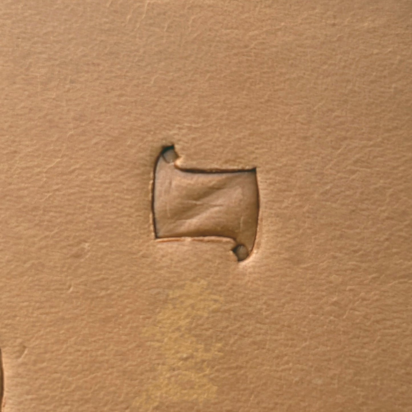 Pinwheel Geometric leather stamp LT289 — single impression on veg-tan leather
