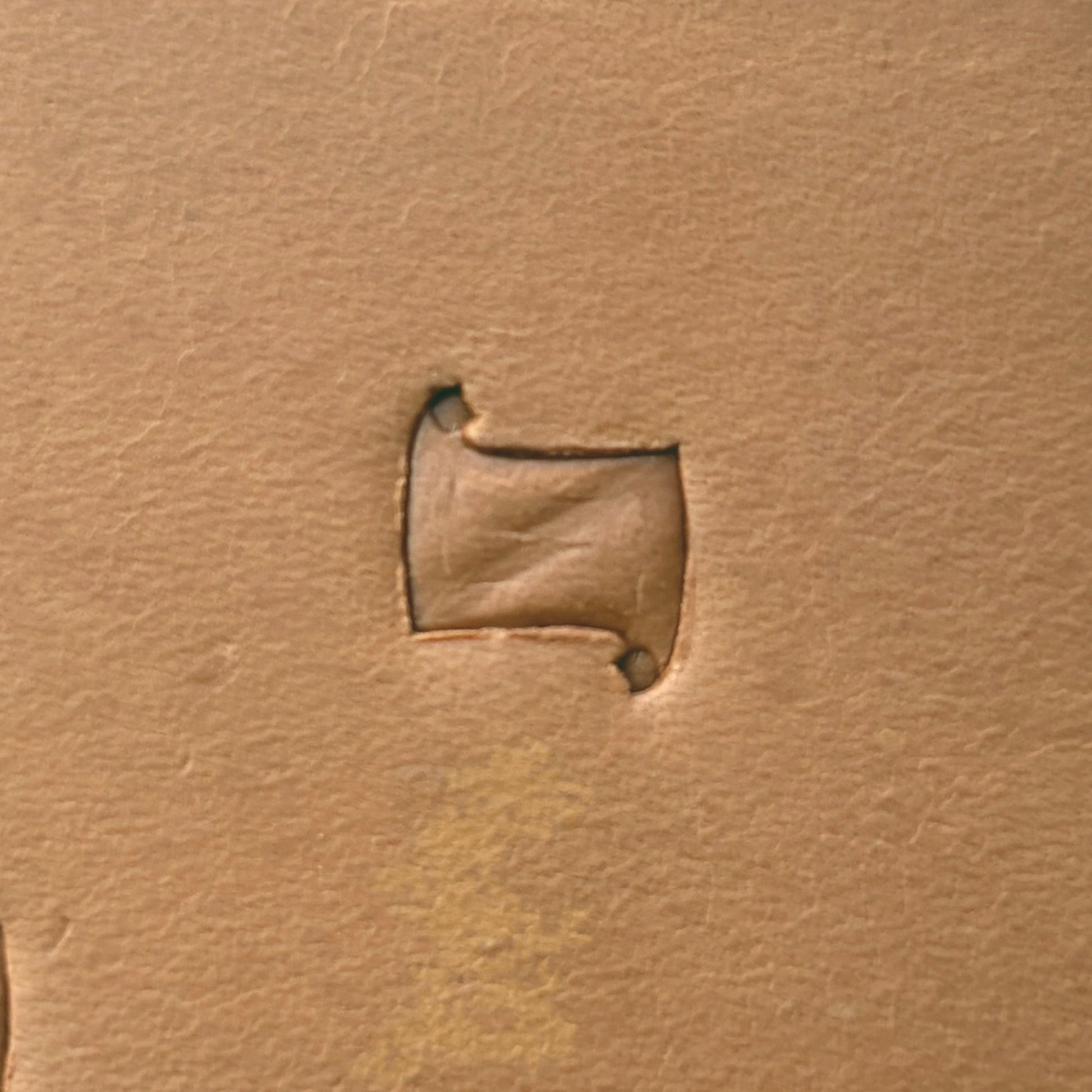 Pinwheel Geometric leather stamp LT289 — single impression on veg-tan leather