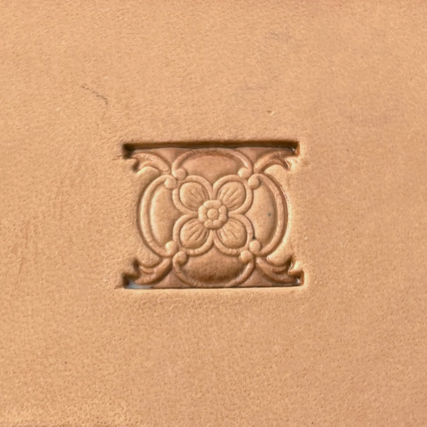 Floral Border leather stamp LT294 — pattern imprint on veg-tan leather