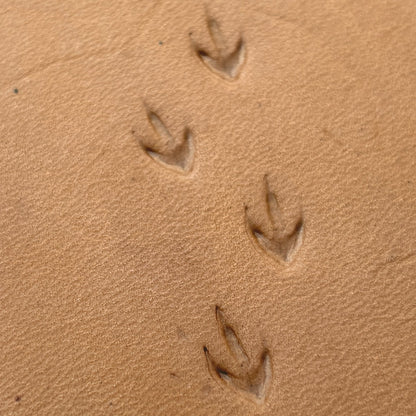 Bird Track Footprint leather stamp LT296 — pattern imprint on veg-tan leather