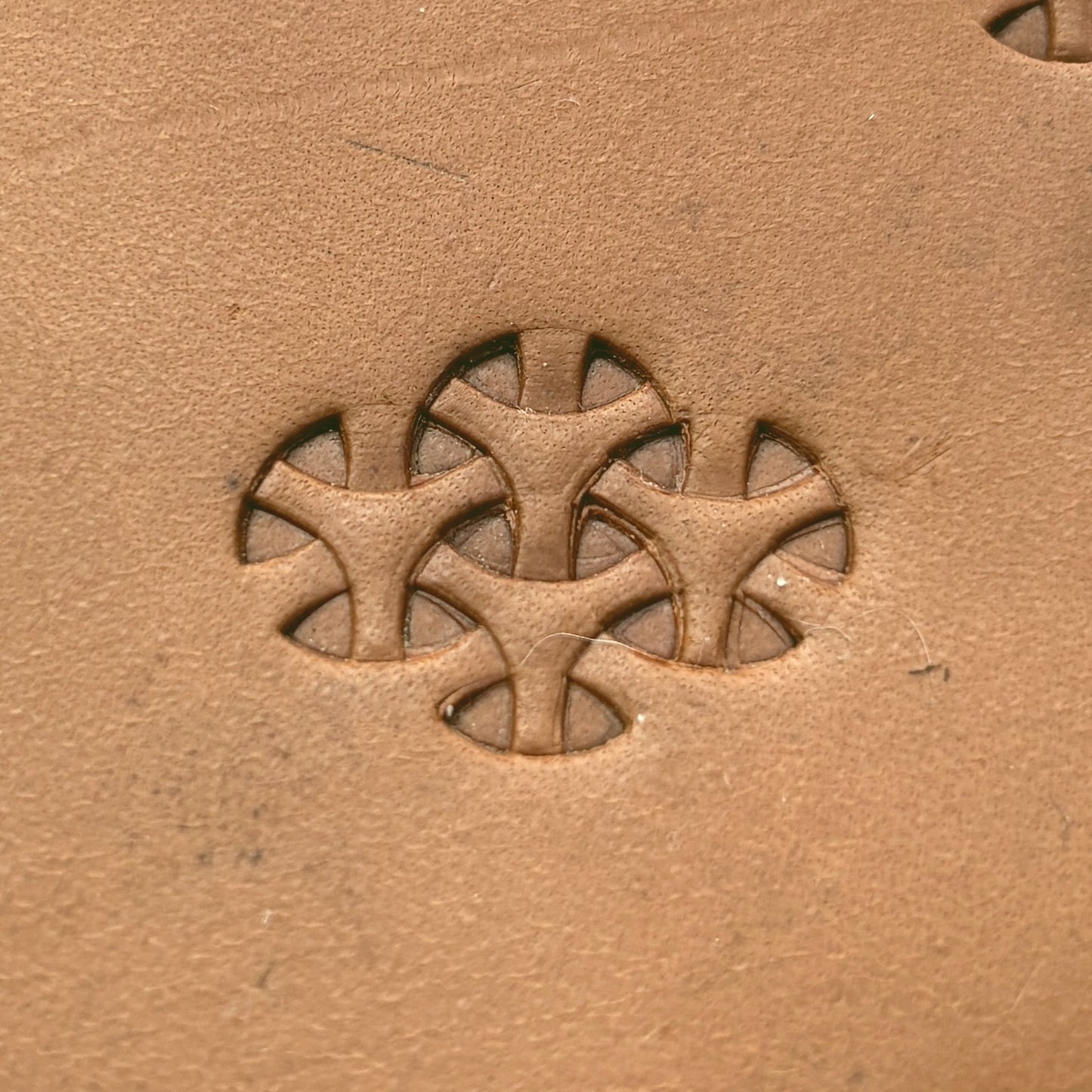 Tri leather stamp LT301 — pattern imprint on veg-tan leather