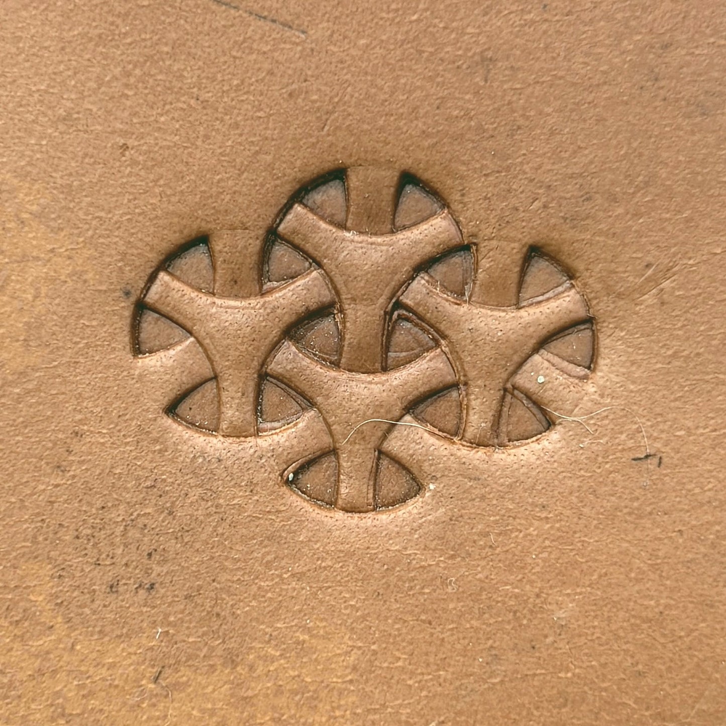 Tri leather stamp LT301 — pattern imprint on veg-tan leather