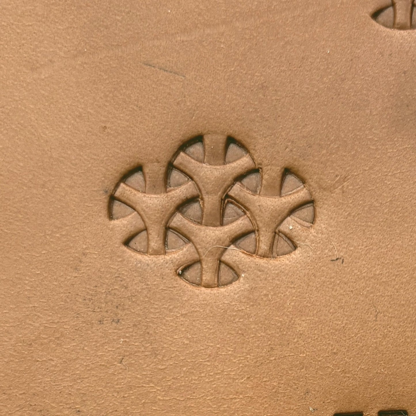 Tri leather stamp LT301 — single impression on veg-tan leather