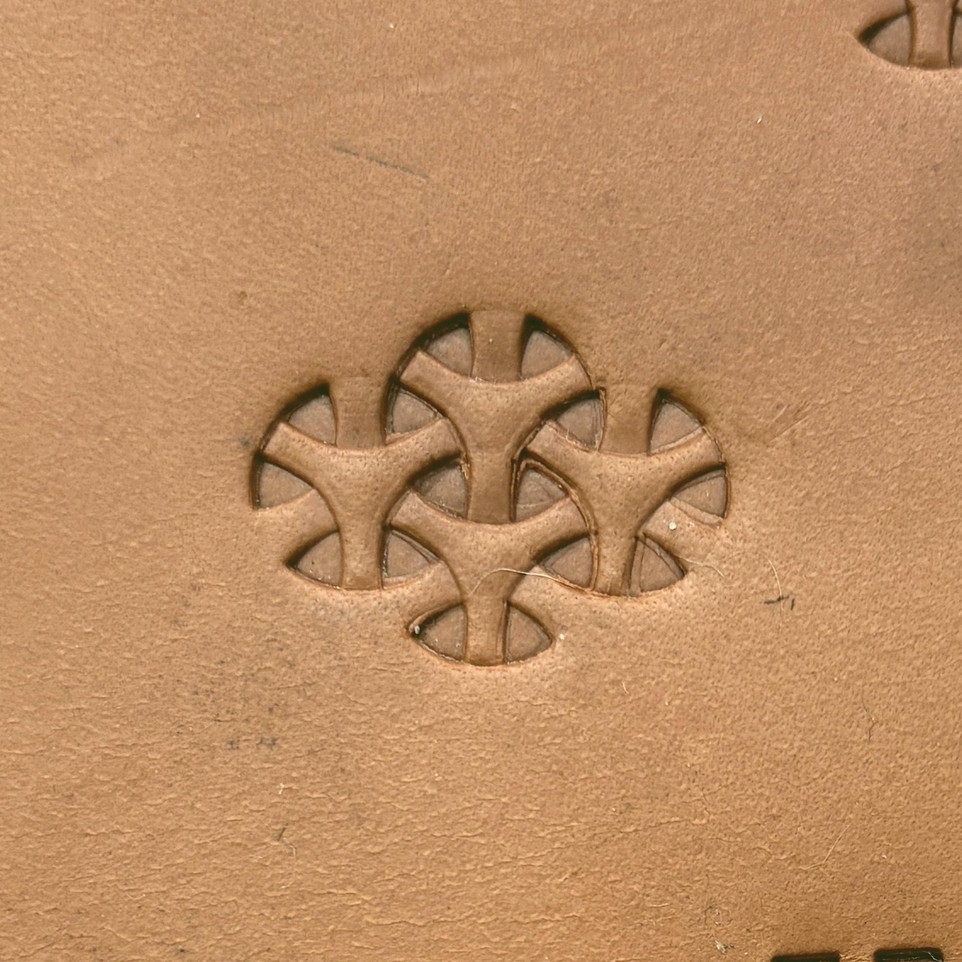 Tri leather stamp LT301 — single impression on veg-tan leather