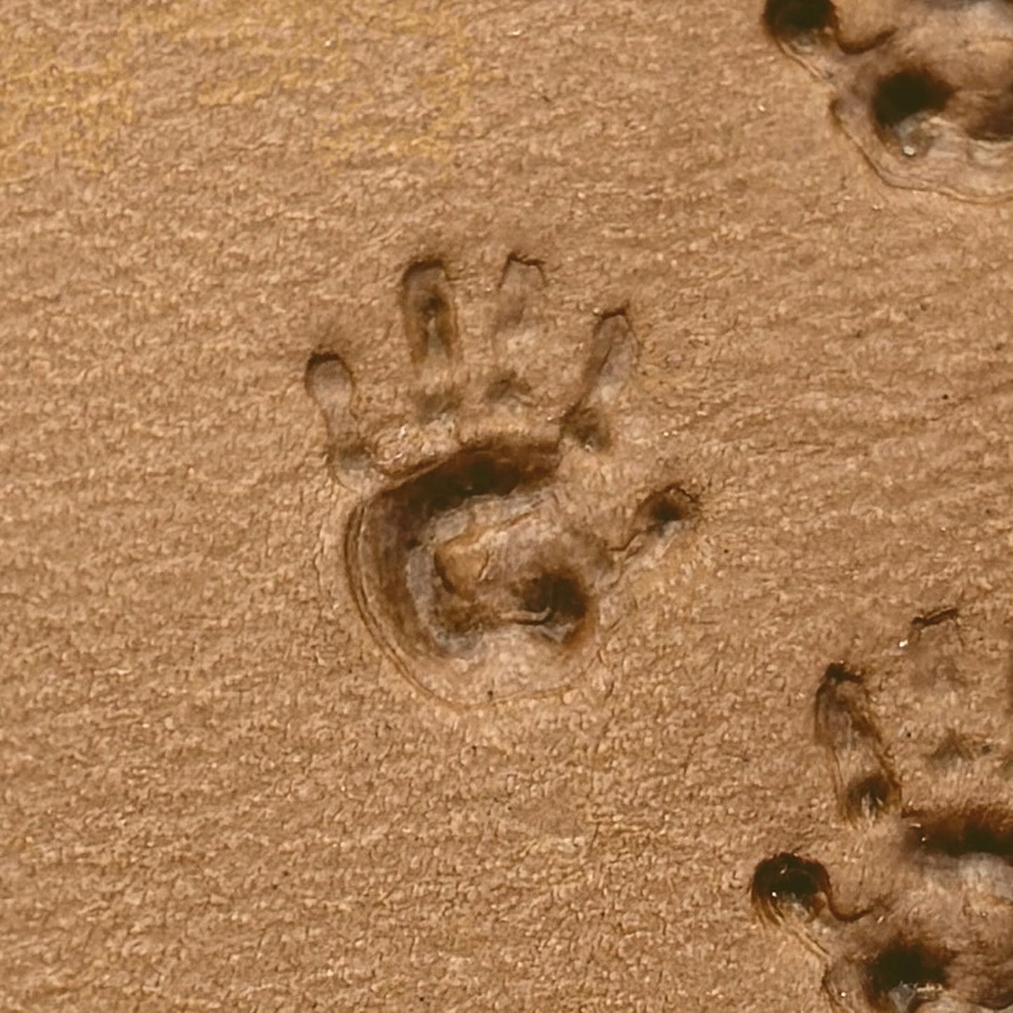 Baby Handprint leather stamp LT303 — pattern imprint on veg-tan leather