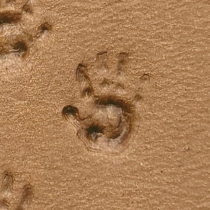 Baby Handprint leather stamp LT303 — single impression on veg-tan leather