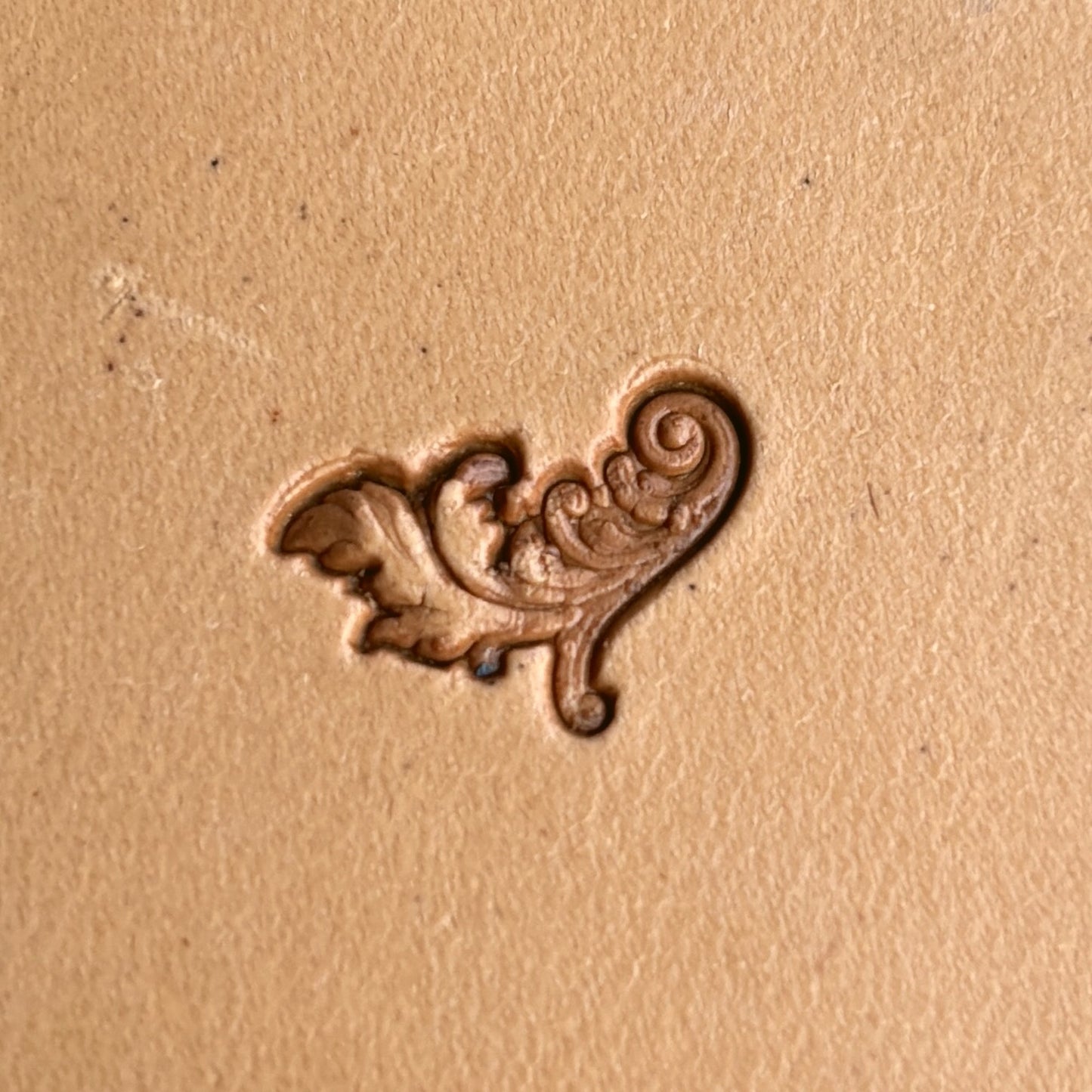 Leaf leather stamp LT309 — single impression on veg-tan leather