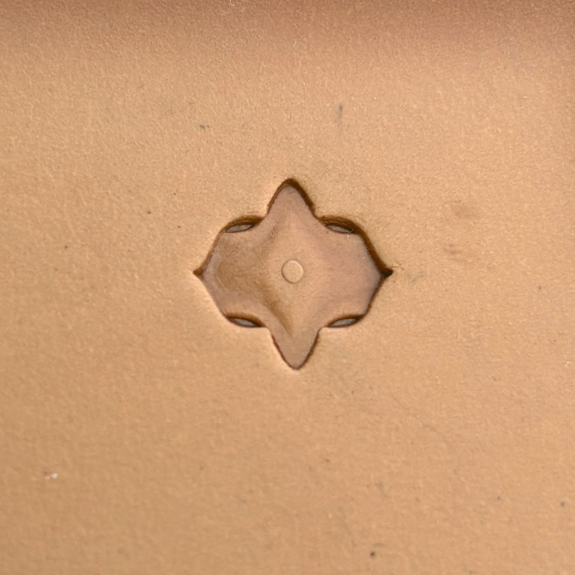 Petal Tiles leather stamp LT311 — single impression on veg-tan leather