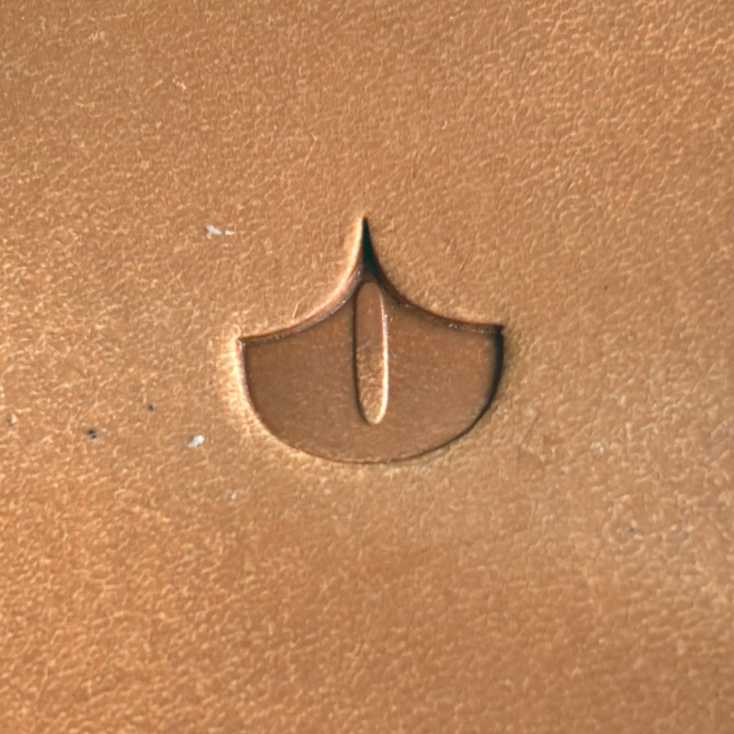 Scale Design leather stamp LT312 — single impression on veg-tan leather