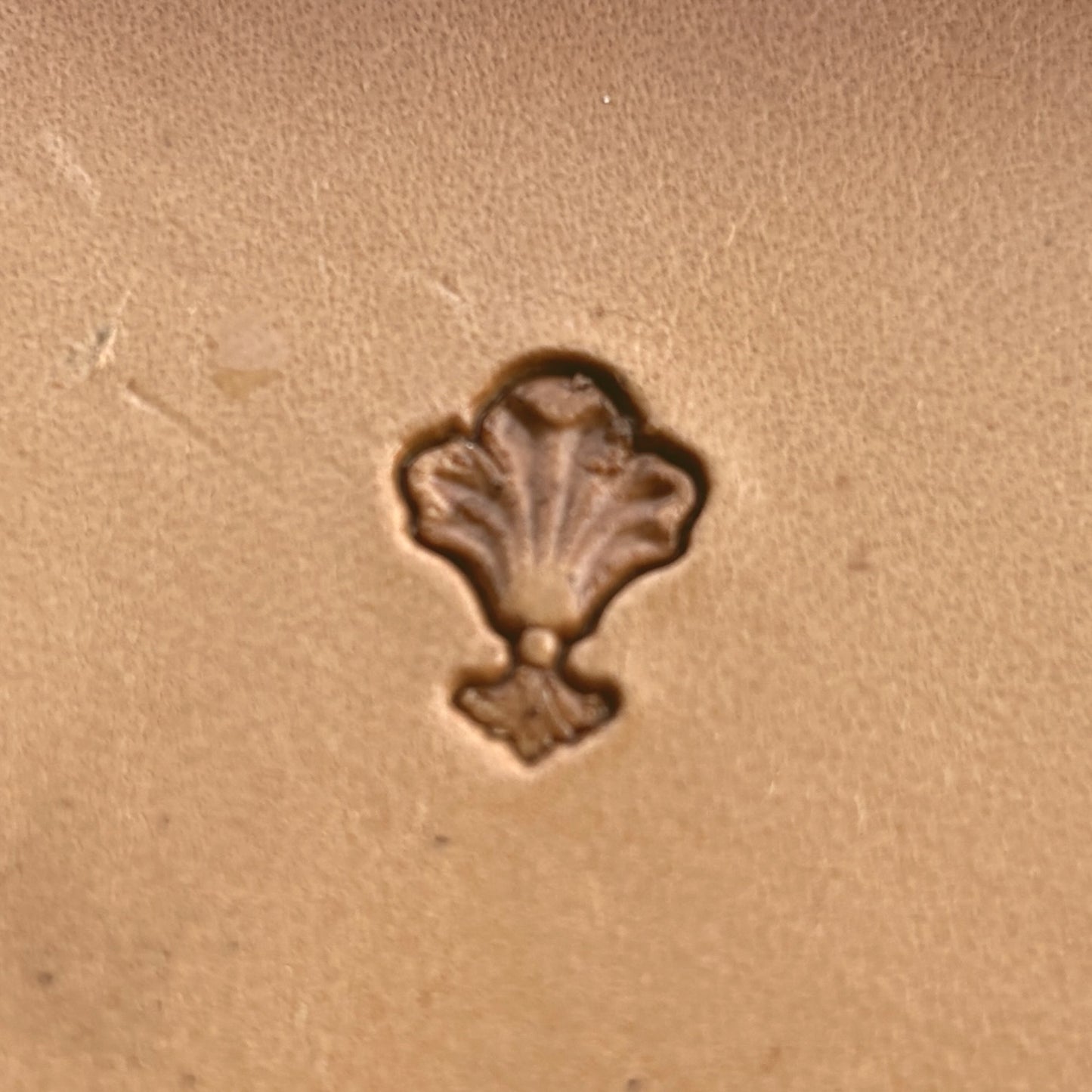 Flower leather stamp LT314 — single impression on veg-tan leather
