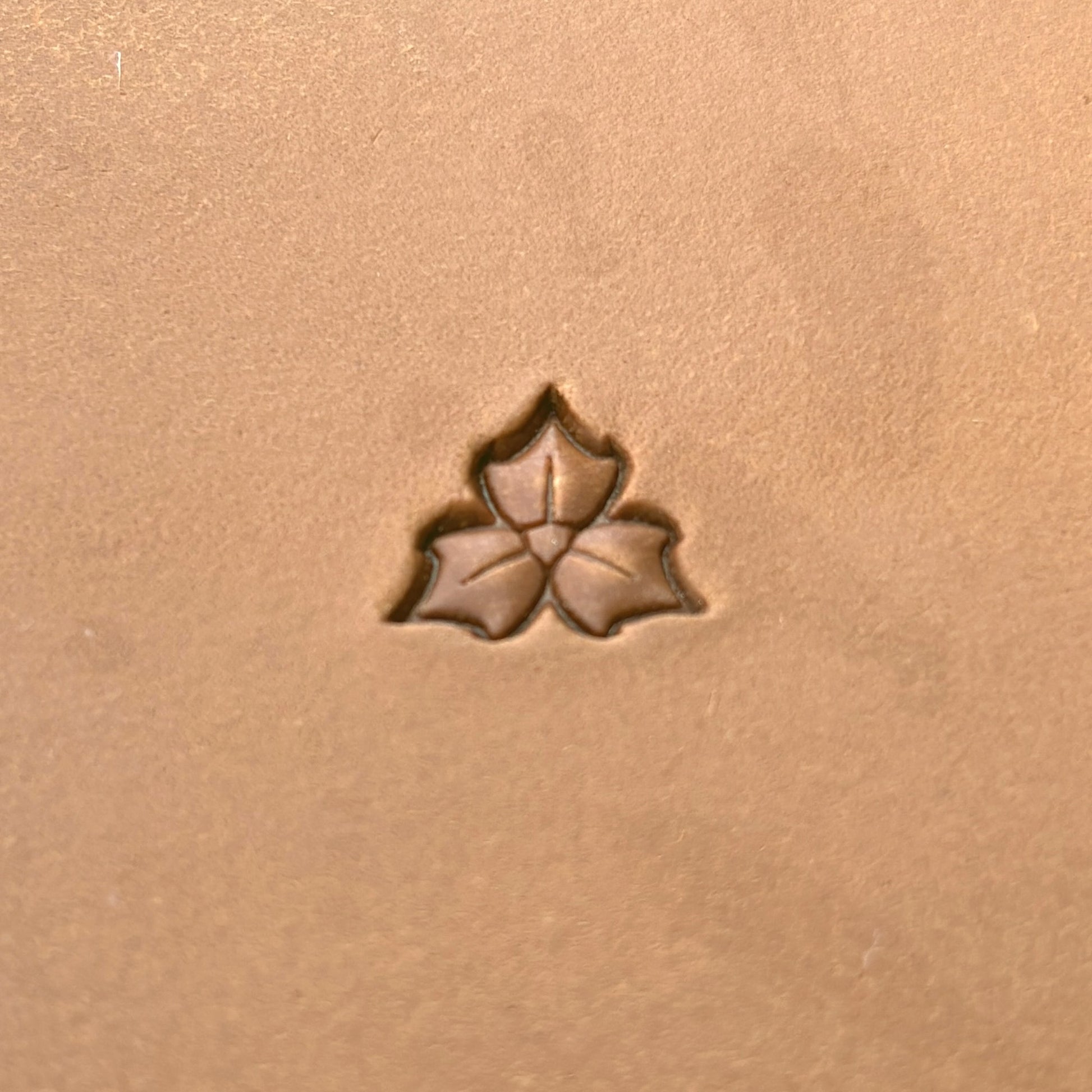 Floral Cluster Leaf leather stamp LT316 — single impression on veg-tan leather
