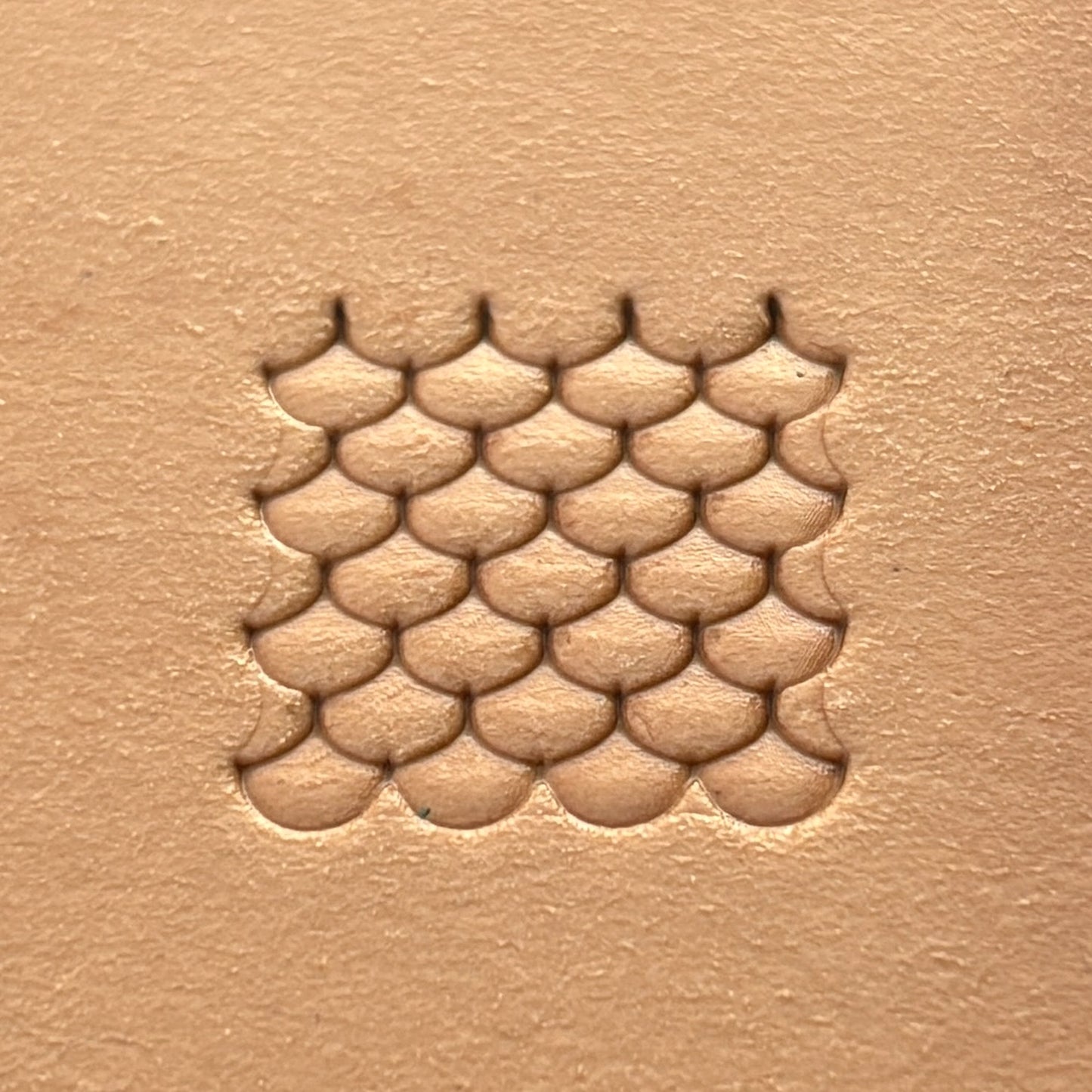 Scale Texture leather stamp LT317 — single impression on veg-tan leather