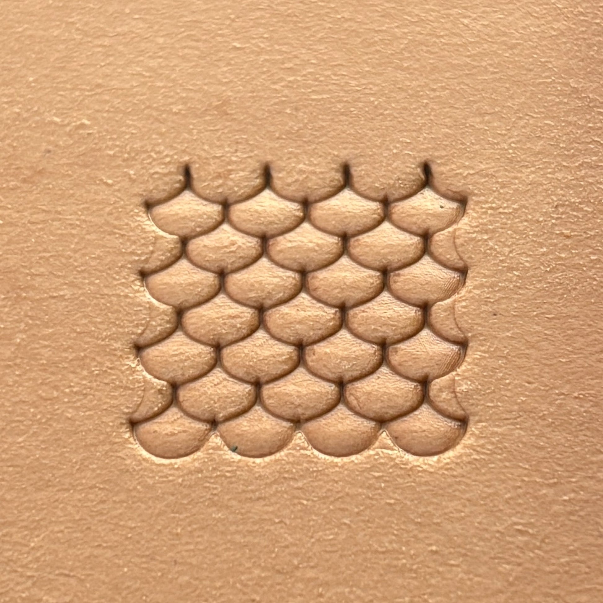 Scale Texture leather stamp LT317 — single impression on veg-tan leather