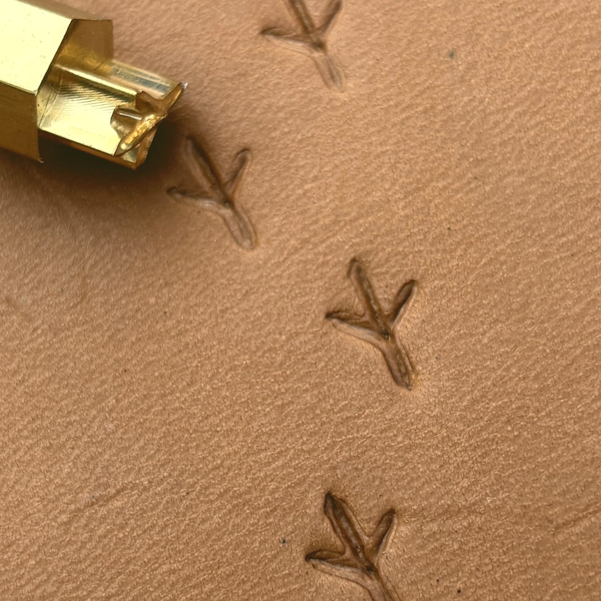 Bird Track Footprint leather stamp LT328 — pattern imprint on veg-tan leather