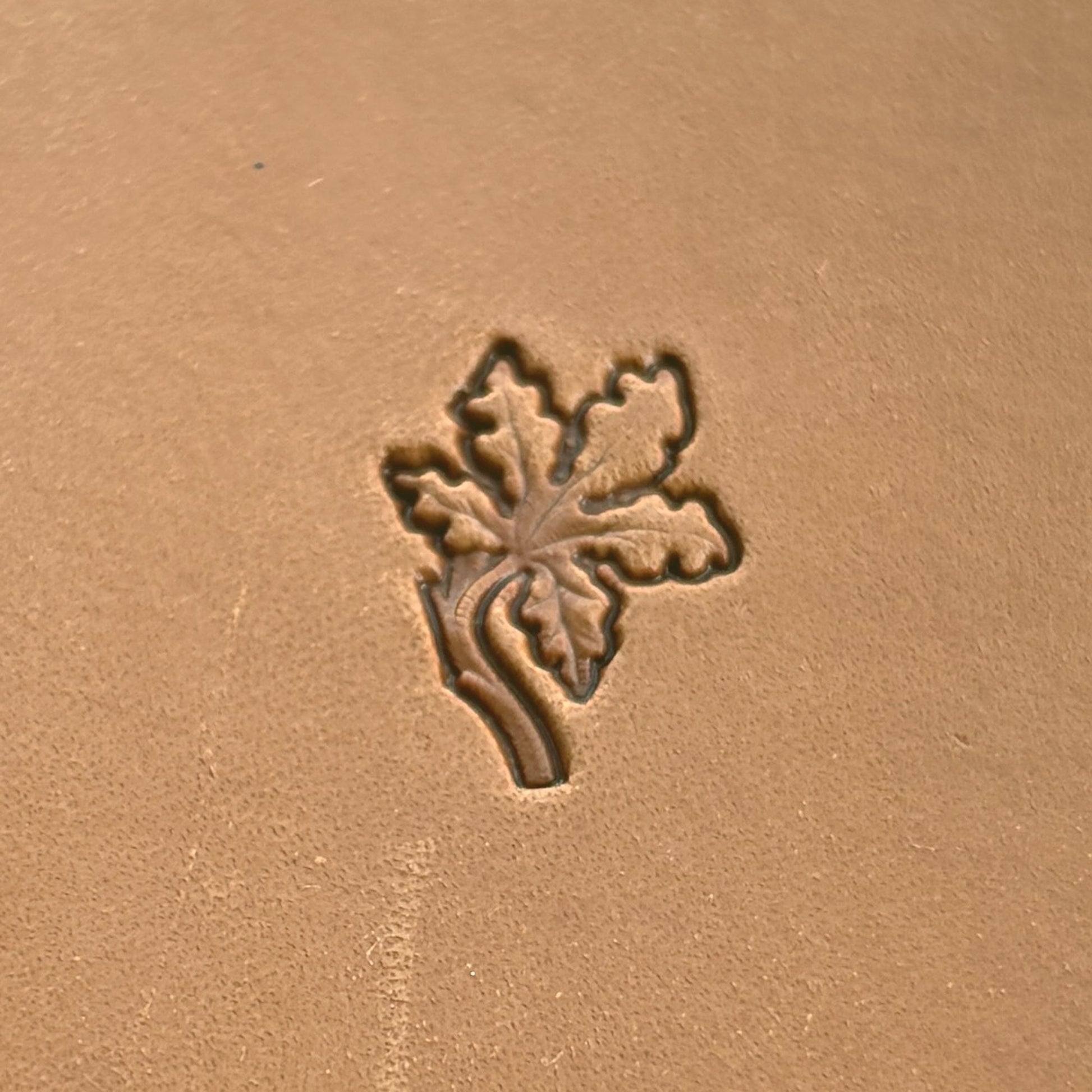 Oak Leaf leather stamp LT330 — single impression on veg-tan leather
