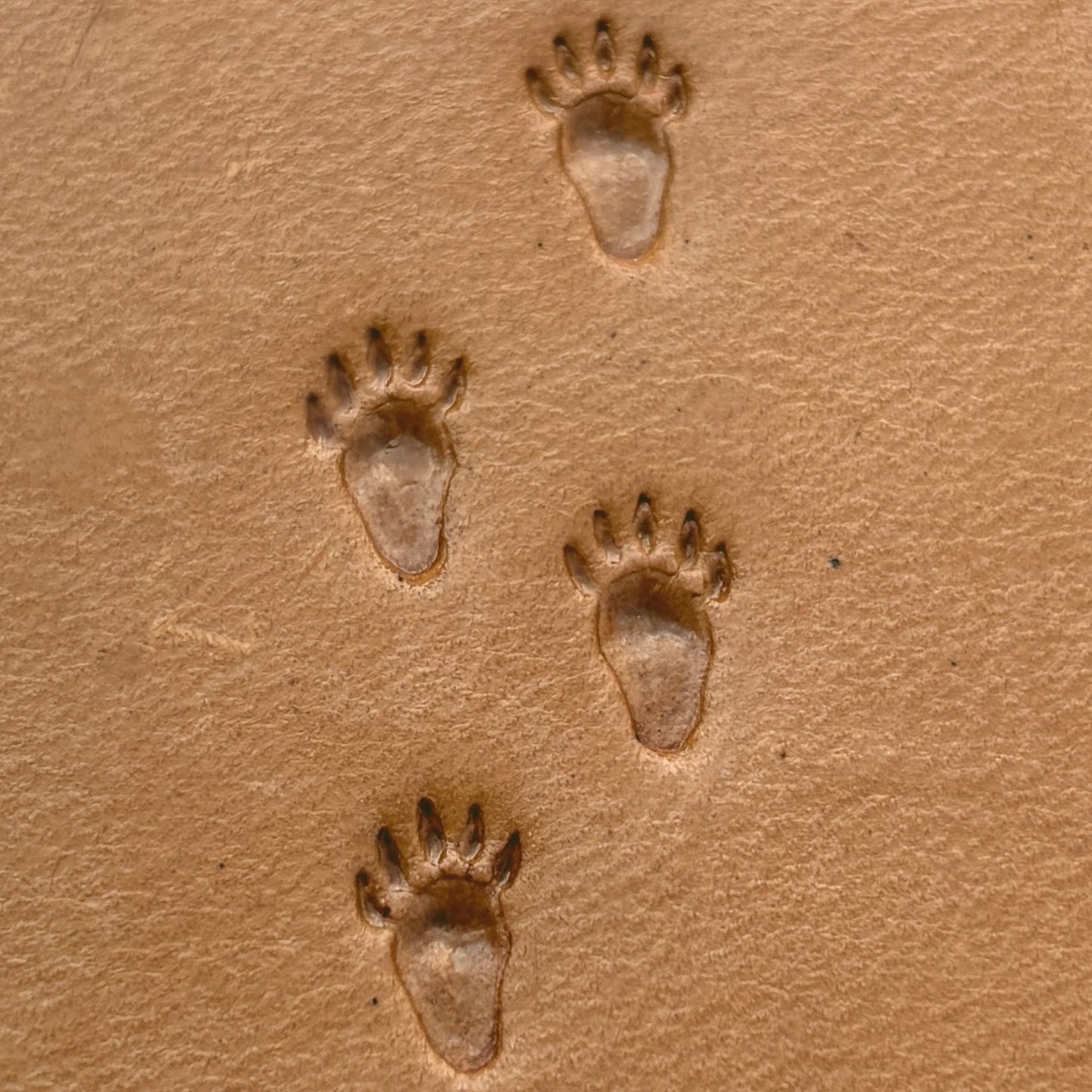 Tracks Paw Bear leather stamp LT336 — pattern imprint on veg-tan leather