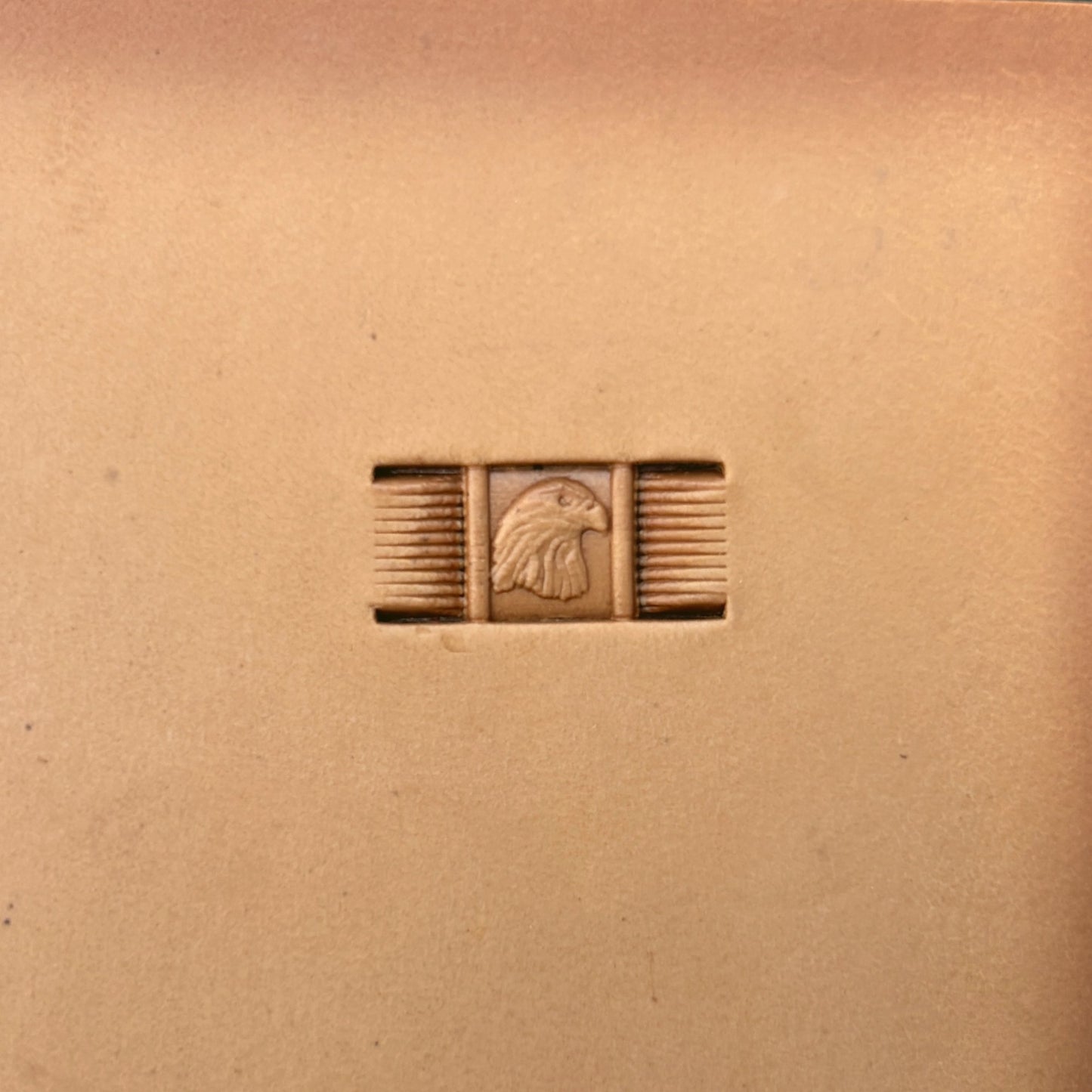 Head Eagle leather stamp LT344 — single impression on veg-tan leather