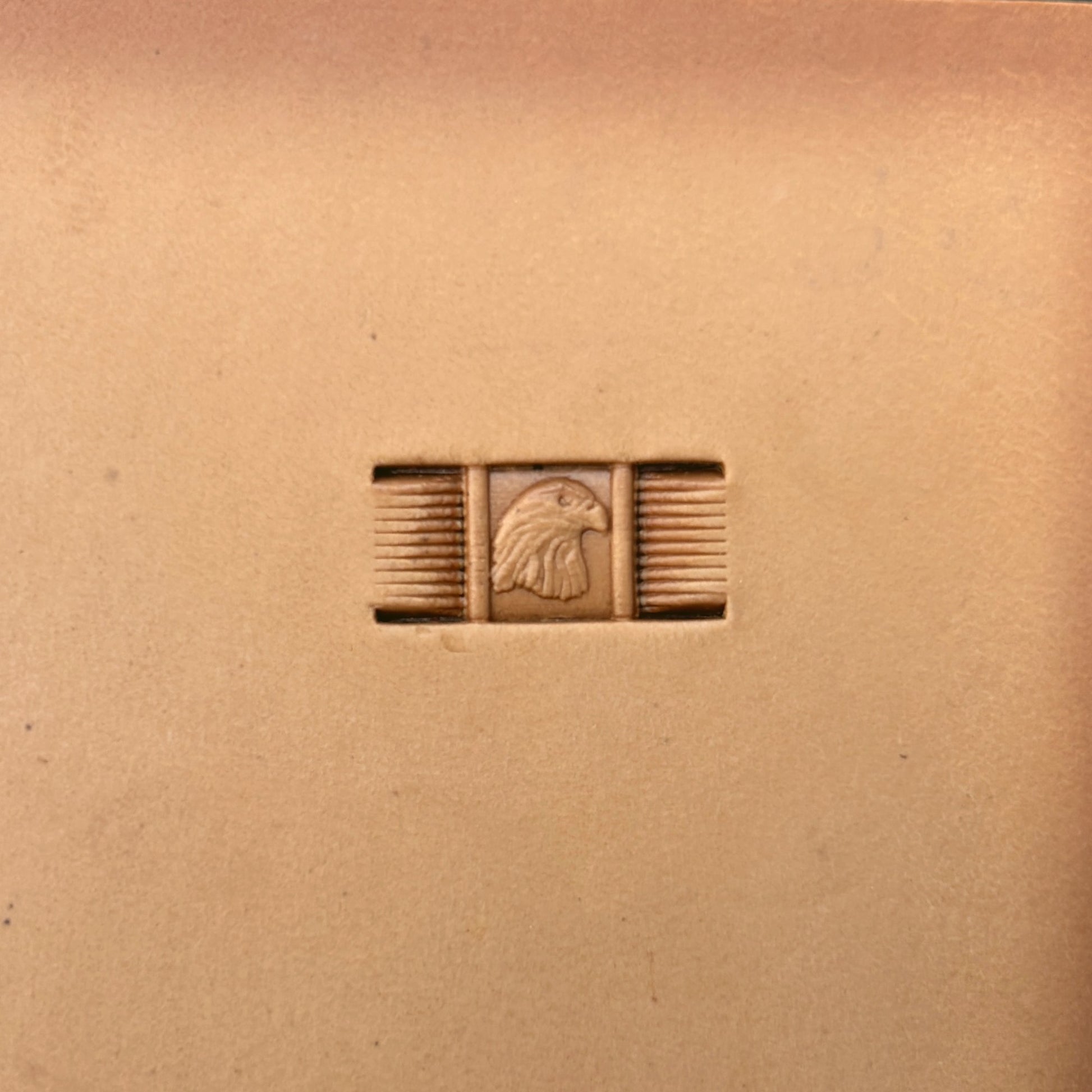 Head Eagle leather stamp LT344 — single impression on veg-tan leather