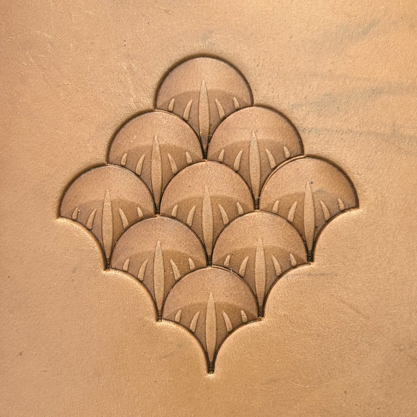 Scallop Fan leather stamp LT353 — pattern imprint on veg-tan leather