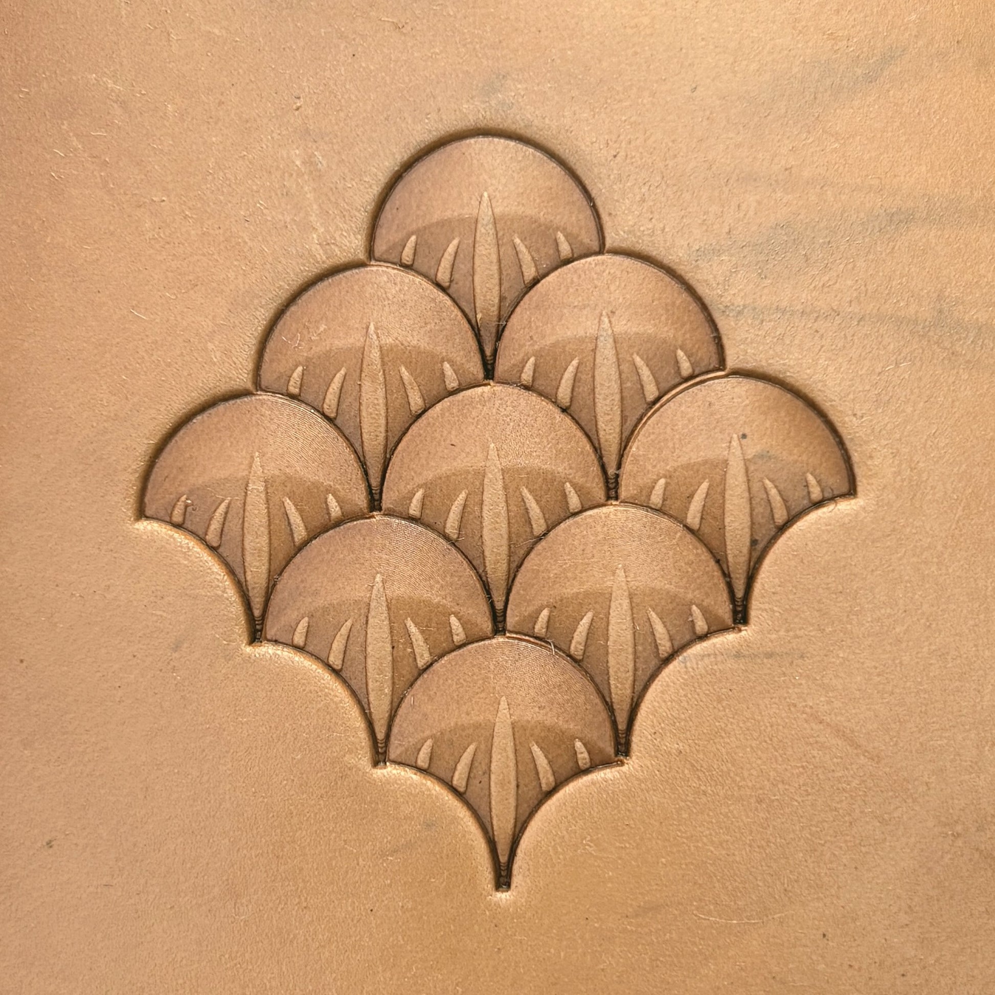 Scallop Fan leather stamp LT353 — pattern imprint on veg-tan leather