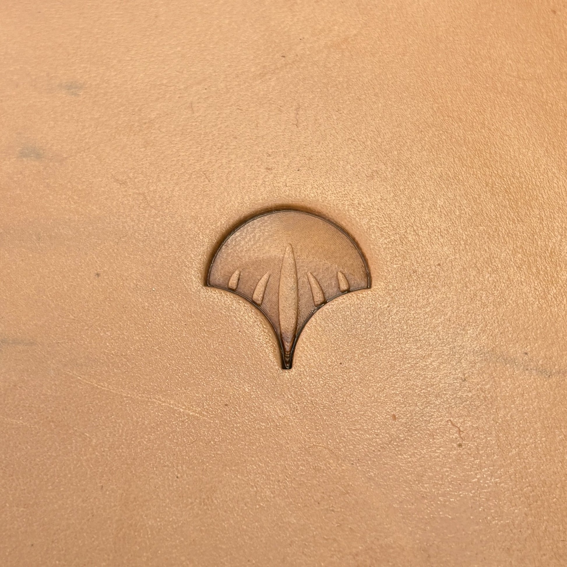 Scallop Fan leather stamp LT353 — single impression on veg-tan leather